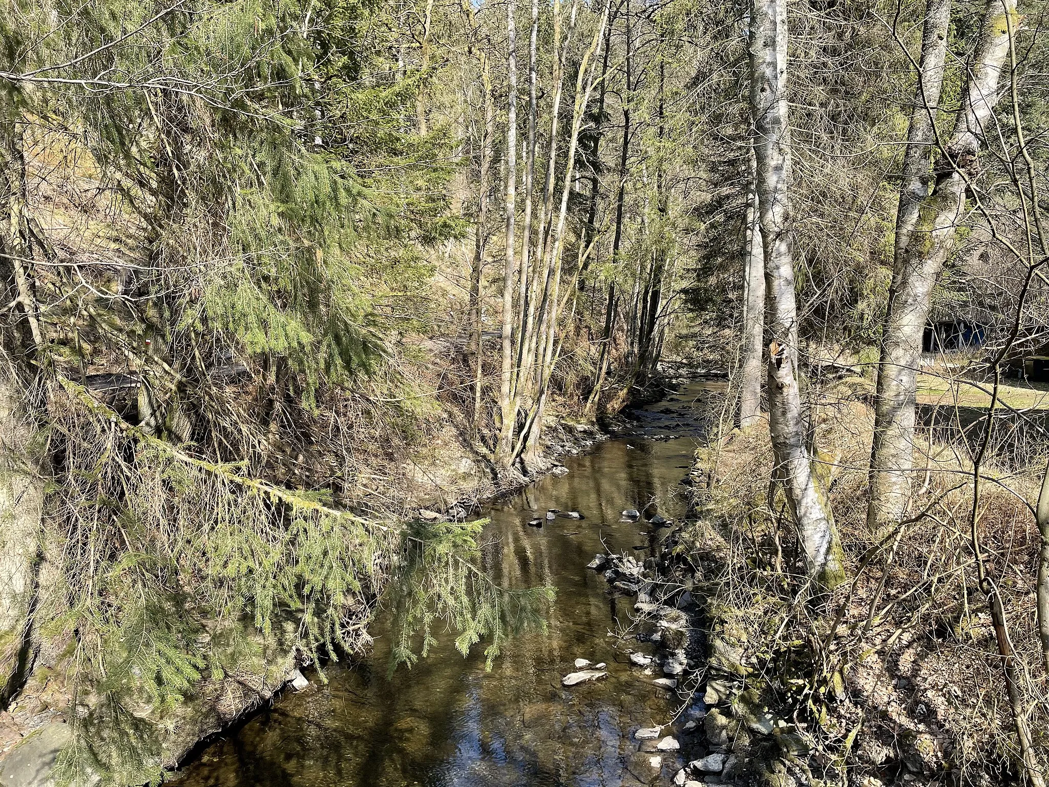 Photo showing: Perlenbach, Zufluss der Rur bei Perlenau