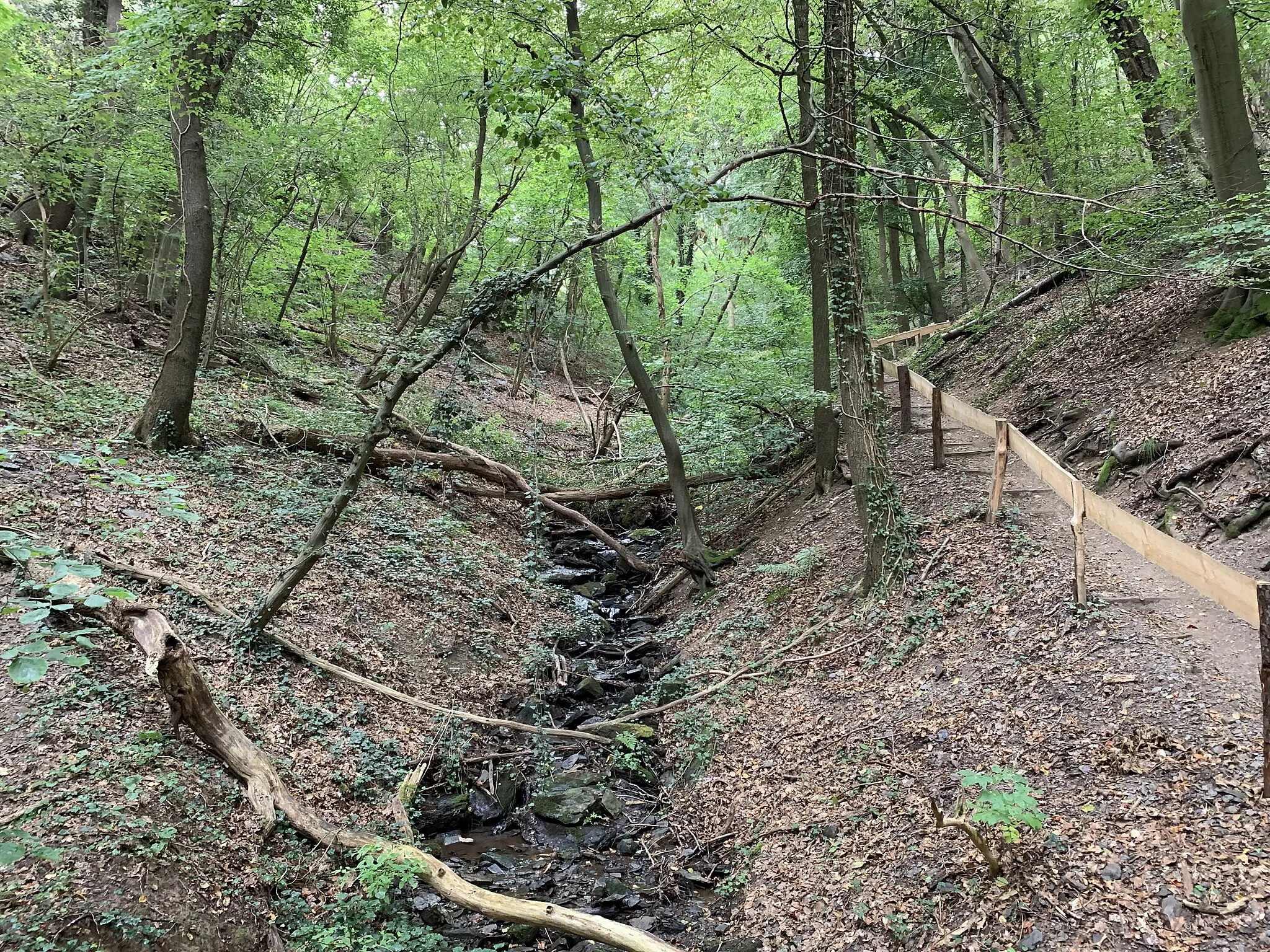 Photo showing: Welmsbach, ein 1,1km langer Nebenfluss der Rur im Kreis Düren in NRW