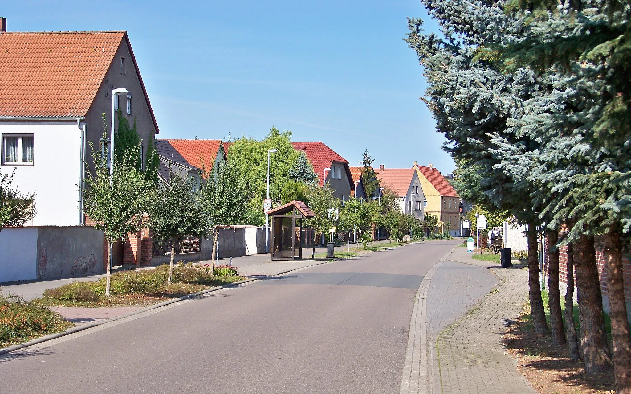 Photo showing: Dorfstraße in Wöllnau/Gemeinde Doberschütz/Sachsen
