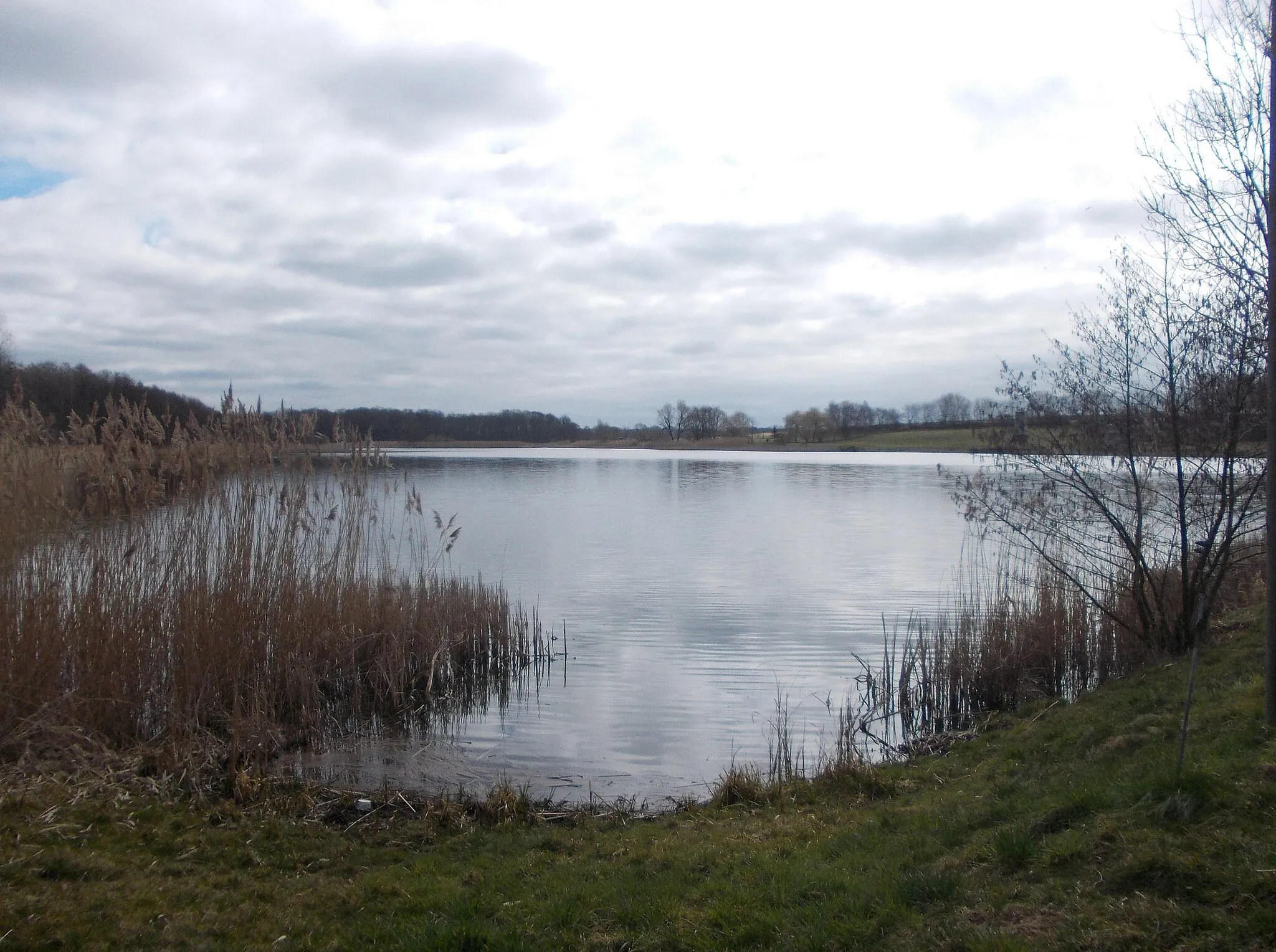 Photo showing: The Big Pond in Reibitz (Löbnitz, Nordsachsen district, Saxony)