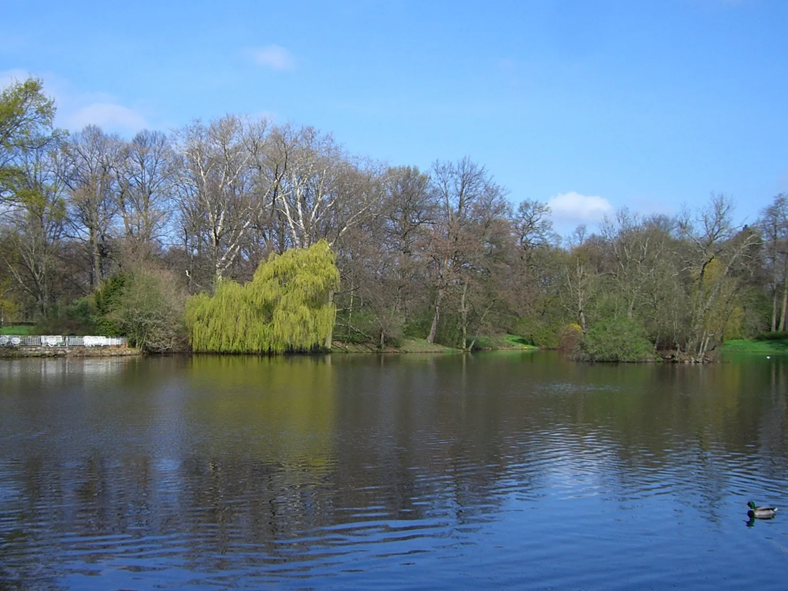 Photo showing: Teich im Clara-Zetkin-Park in Leipzig