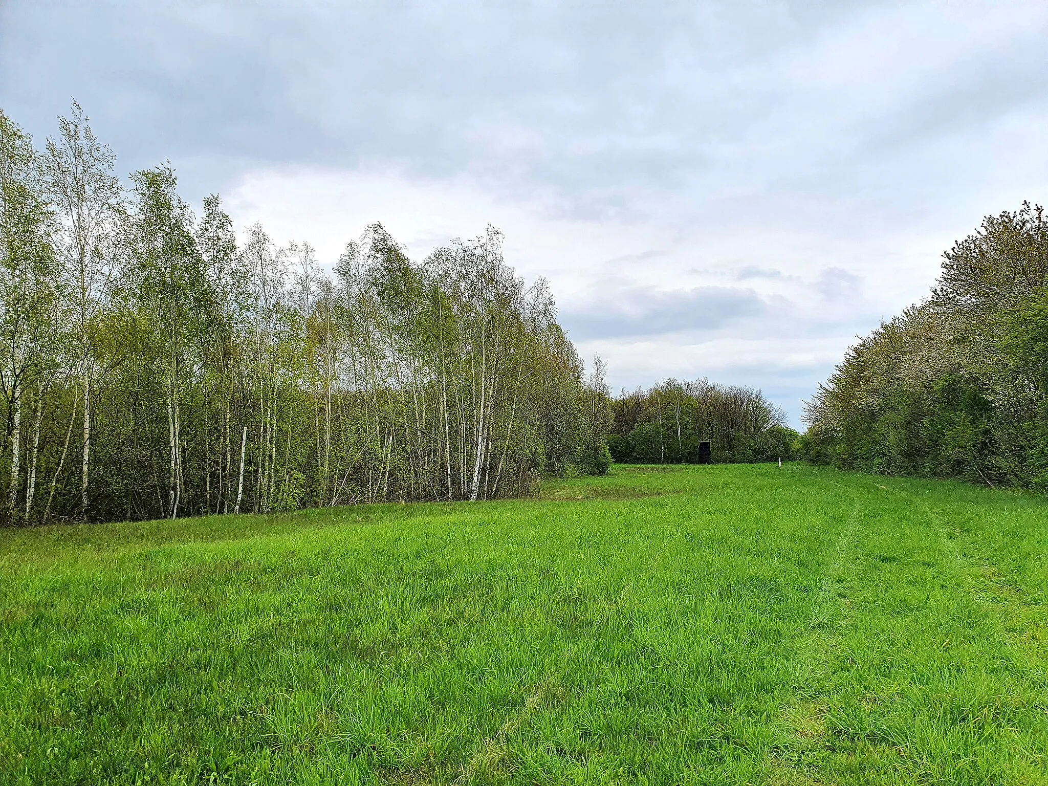 Photo showing: Flächennaturdenkmal im Landkreis Nordsachsen: Gerbisdorfer Sandgruben, Gemeinde Schkeuditz, Sachsen