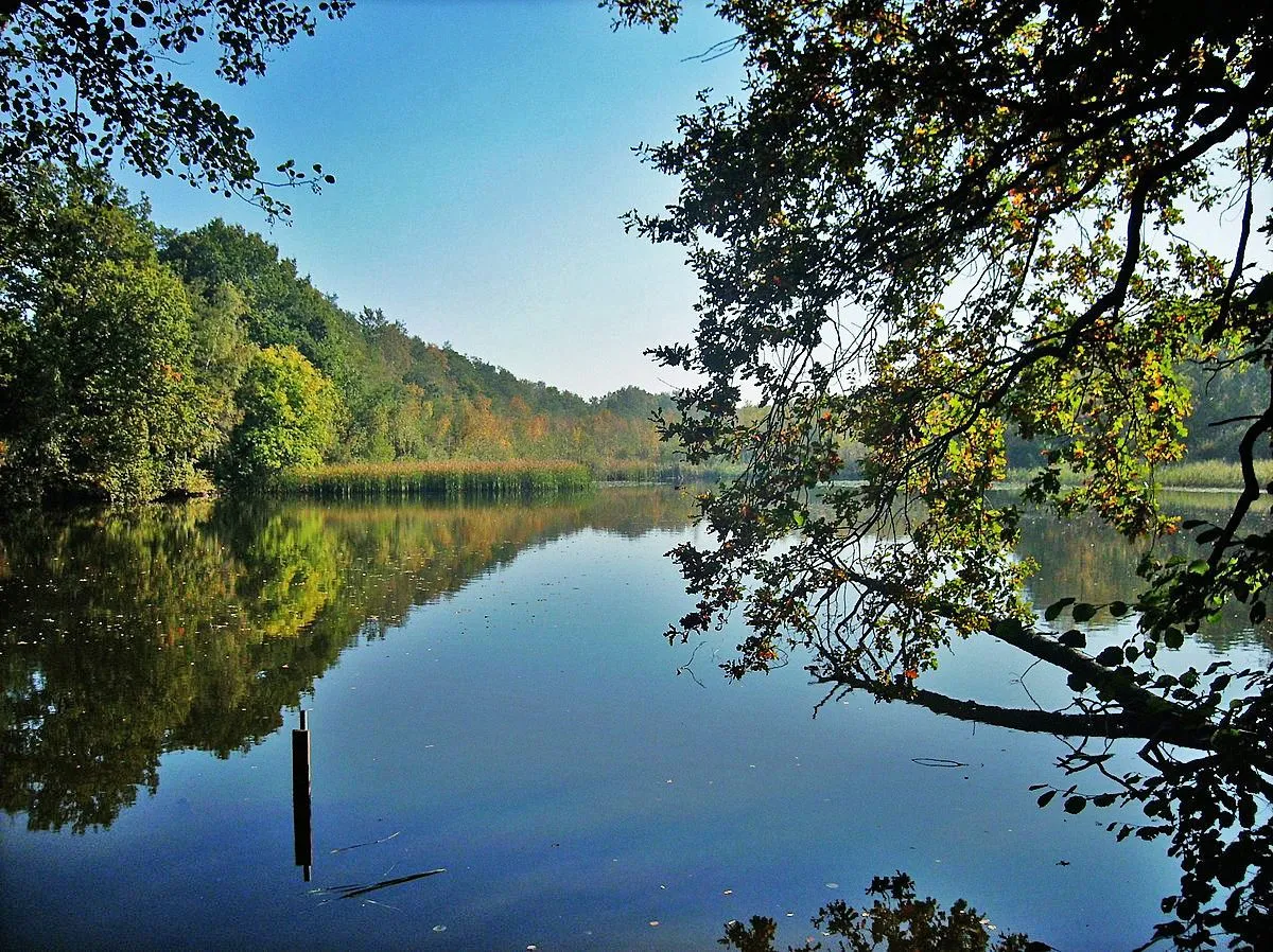 Photo showing: Alte See nature reserve at Grethen (Parthenstein, Leipzig district, Saxony)