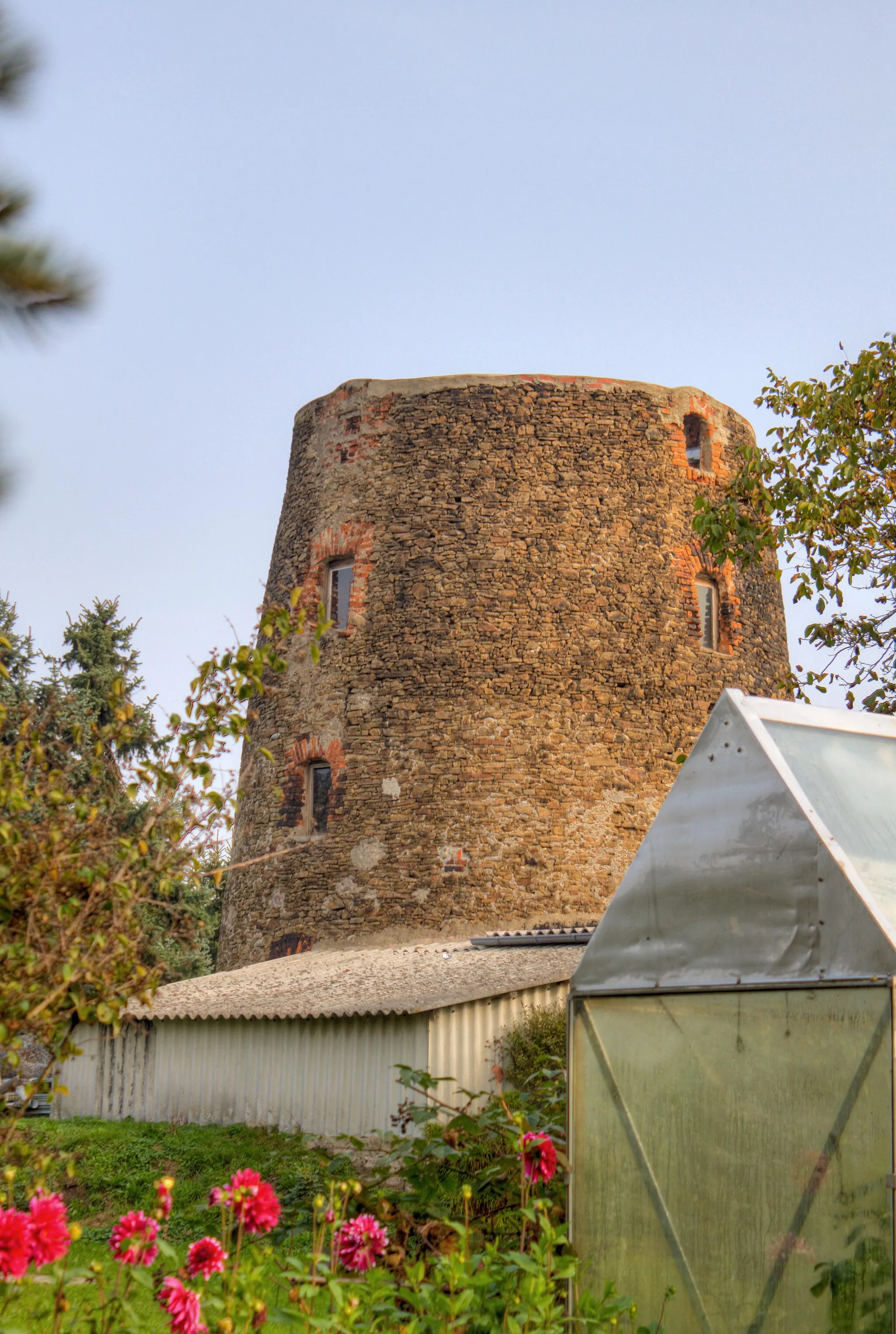 Photo showing: Turmholländermühle Cannewitz (Stumpf)