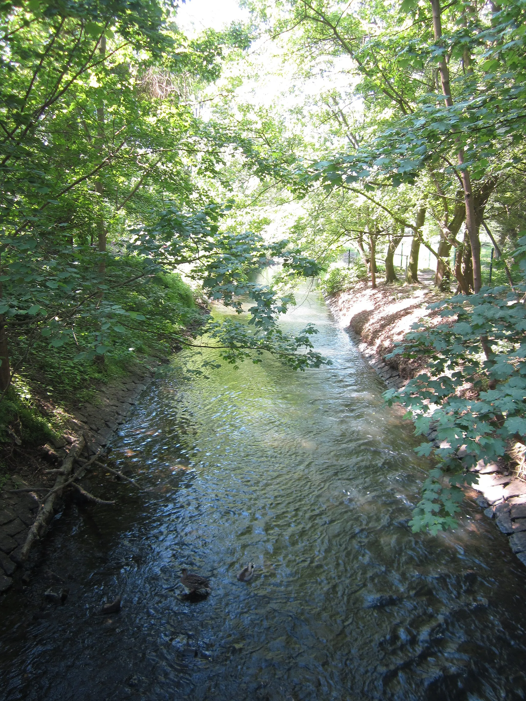 Photo showing: Parthe an der Brücke bei Cleuden, im LSG und FFH-Gebiet Parthenaue.