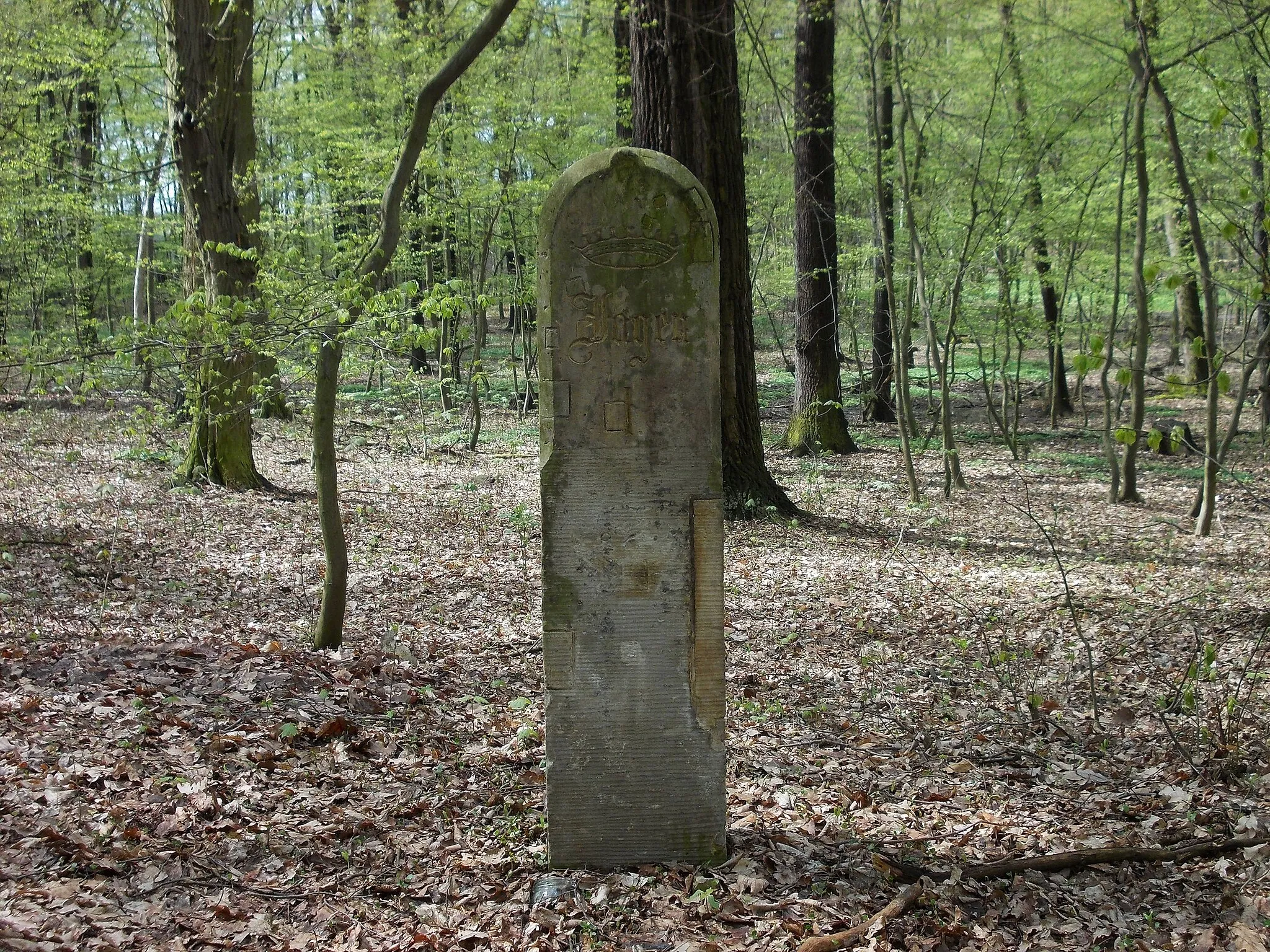 Photo showing: Stone marking a Jagen (forest district) near Altenbach (Bennewitz, Leipzig district, Saxony)