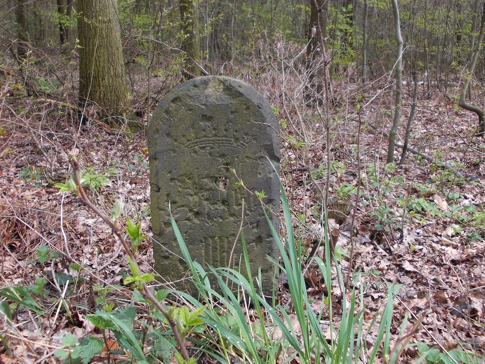 Photo showing: Stone marking a Jagen (forest district) near Altenbach (Bennewitz, Leipzig district, Saxony)