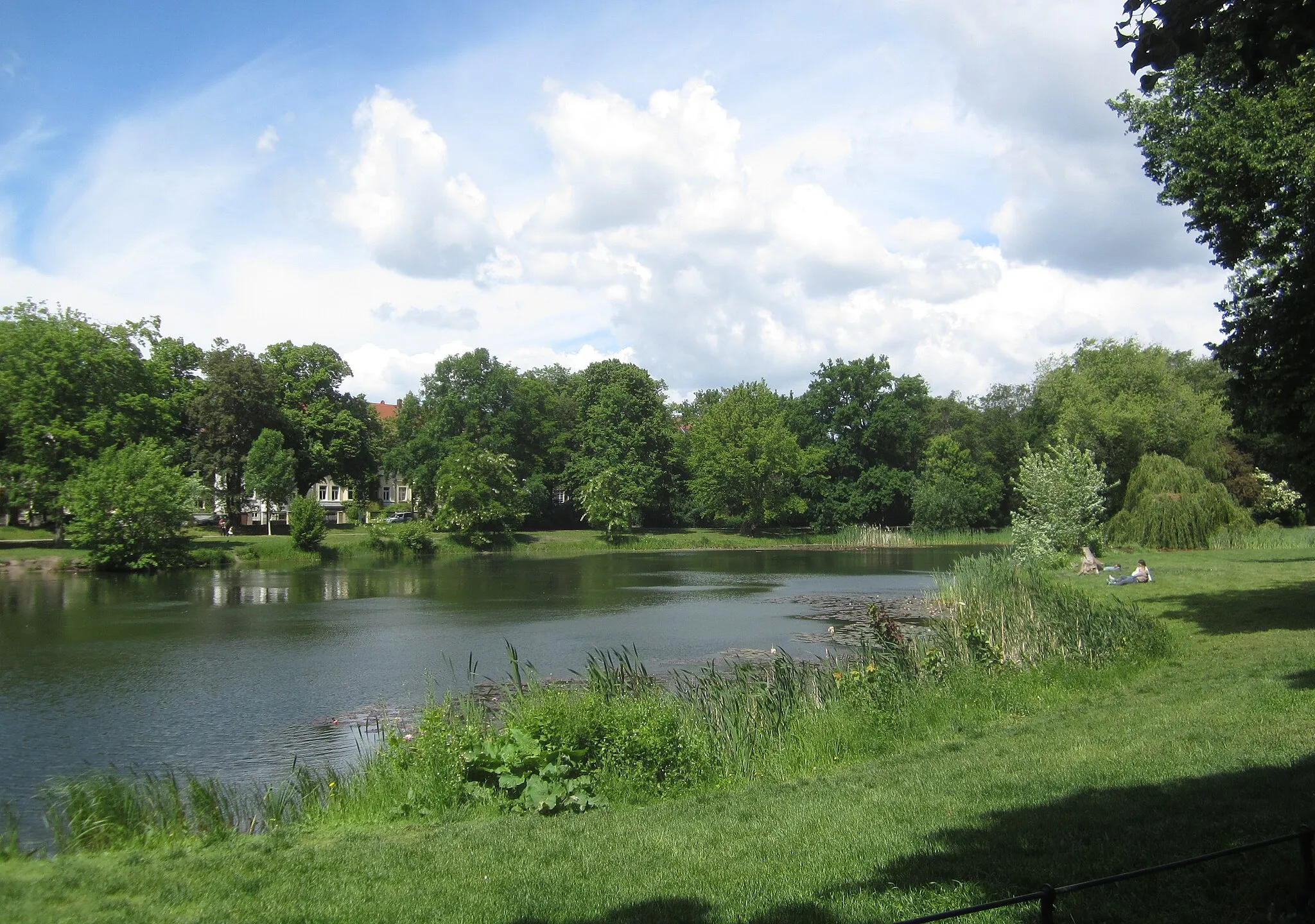 Photo showing: Arthur-Bretschneider-Park, Teich von Süden gesehen. LSG Nördliche Rietzschke