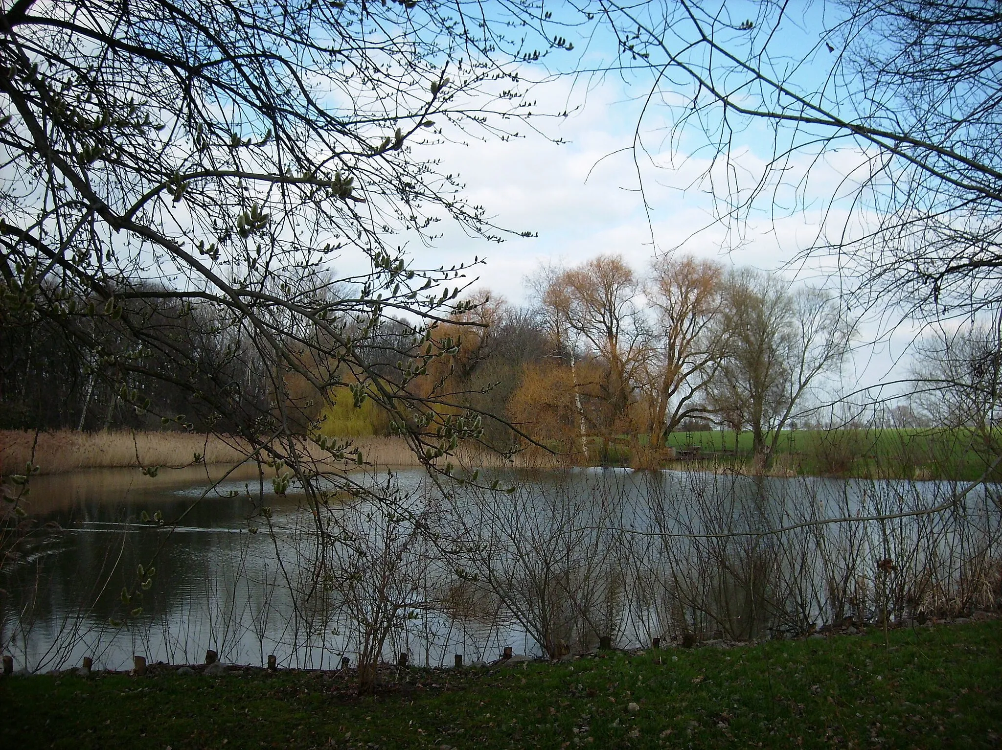 Photo showing: Pond in the south of Thierbach (Kitzscher, Leipzig district, Saxony)