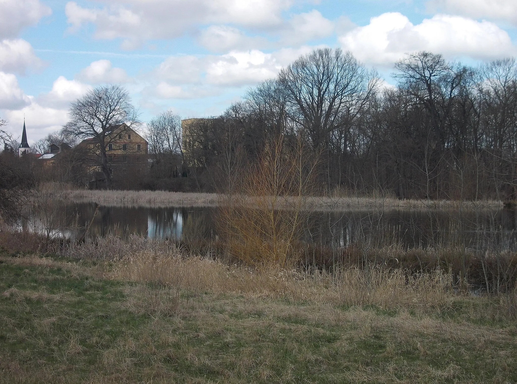 Photo showing: Küchenteich pond in Altenhain (Trebsen, Leipzig district, Saxony)