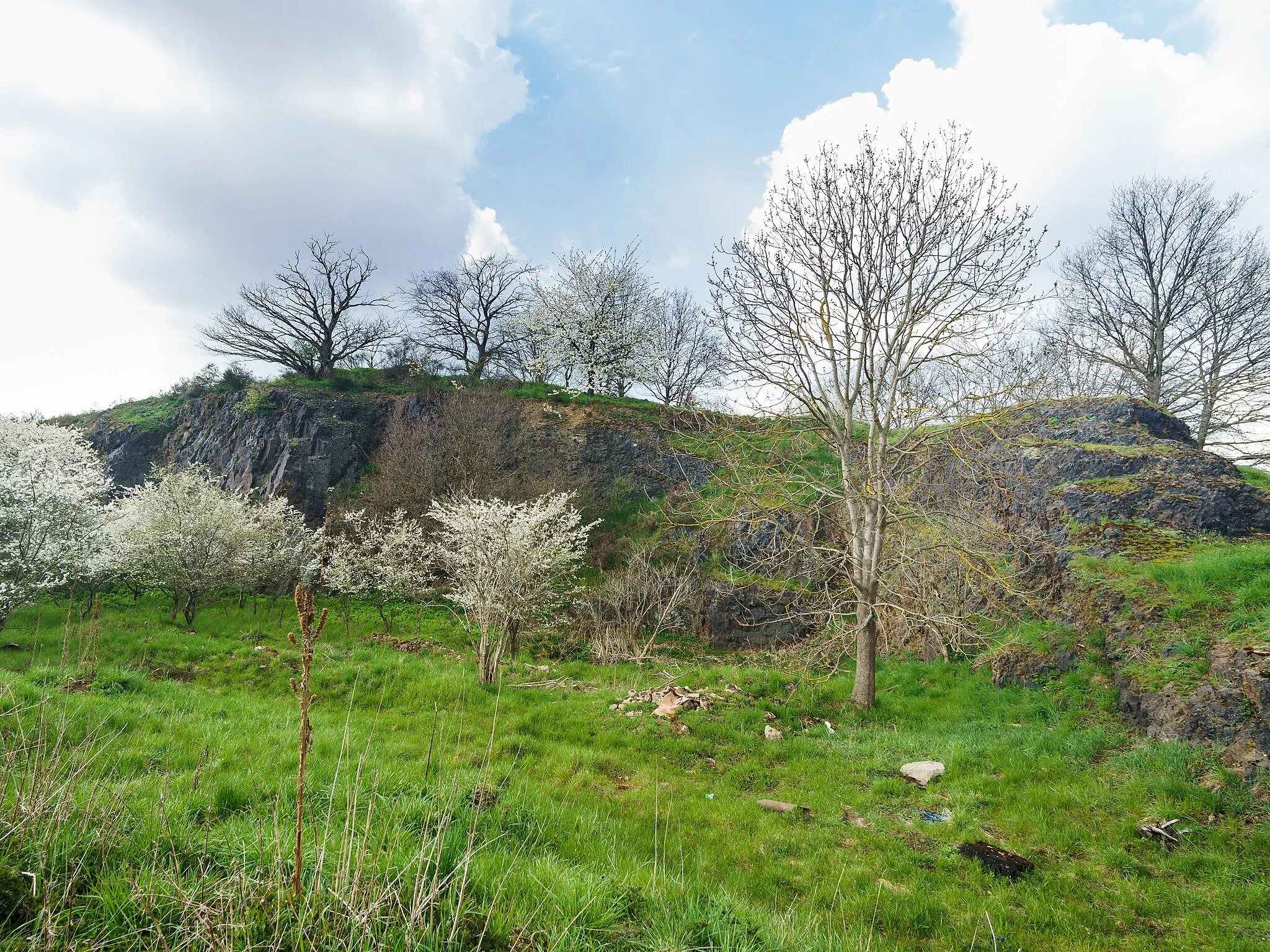 Photo showing: Tonberg Kleinragewitz in Liebschützberg OT Kleinragewitz. Flächennaturdenkmal tdo: 317 ; nso258