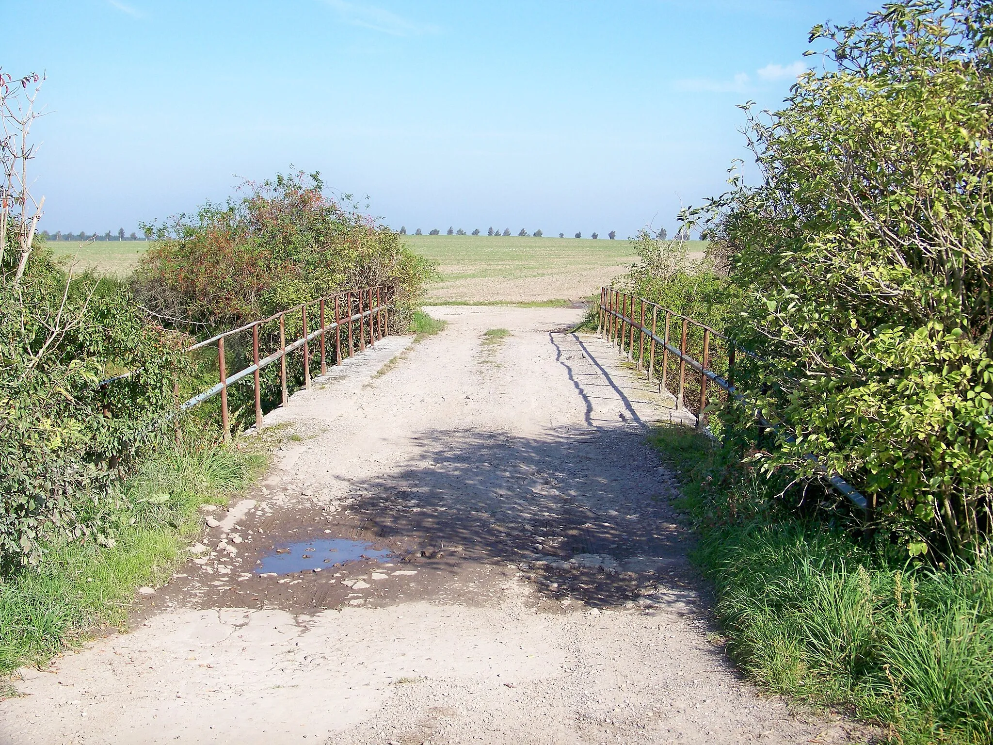 Photo showing: Brücke über die Bahnstrecke Eilenburg-Wurzen des Feldweges Im Ilsental als Verbindung zwischen der S19 Eilenburg-Böhlitz und der Straße Thallwitz-Böhlitz