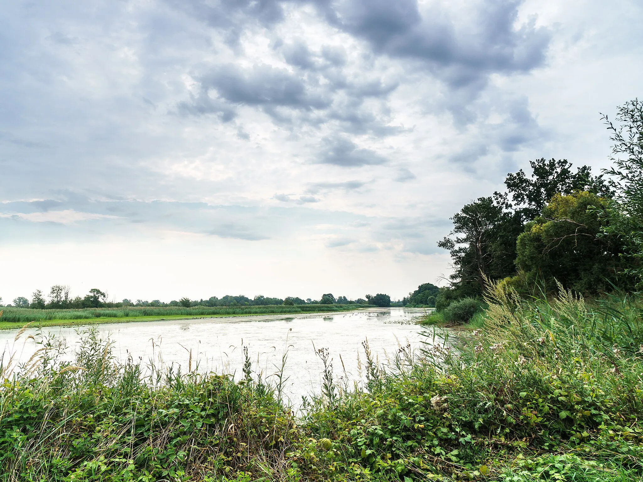 Photo showing: Priesitzer See, ehemaliger Elblauf im Landschaftsschutzgebiet Elbetal - zwischen Elster und Sachau bei Bad Schmiedeberg OT Priesitz.  
WDPA ID 344855