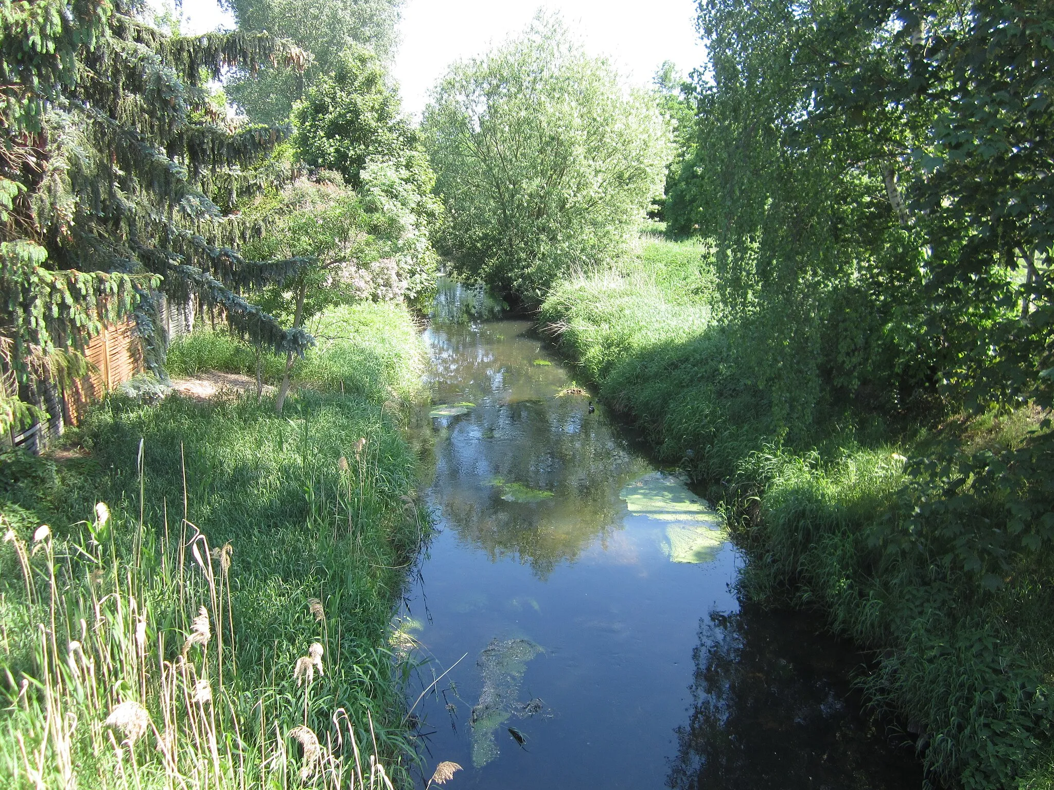 Photo showing: Parthe zwischen Graßdorf und Cradefeld, Landschaftsschutz- und FFH-Gebiet Parthenaue.