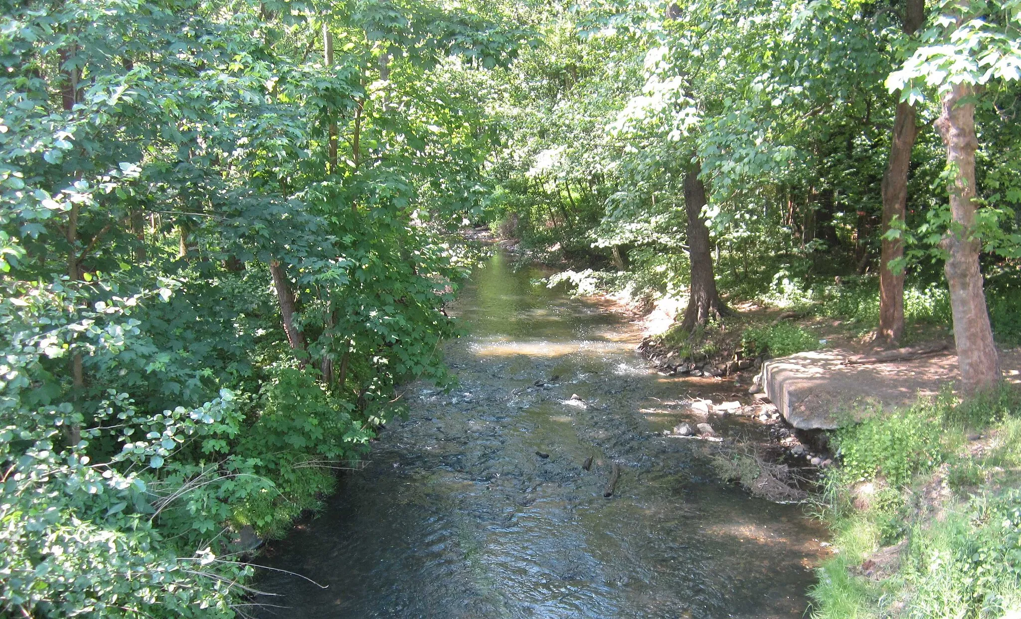 Photo showing: Parthe an der Brücke bei Plaußig, im LSG und FFH-Gebiet Parthenaue.