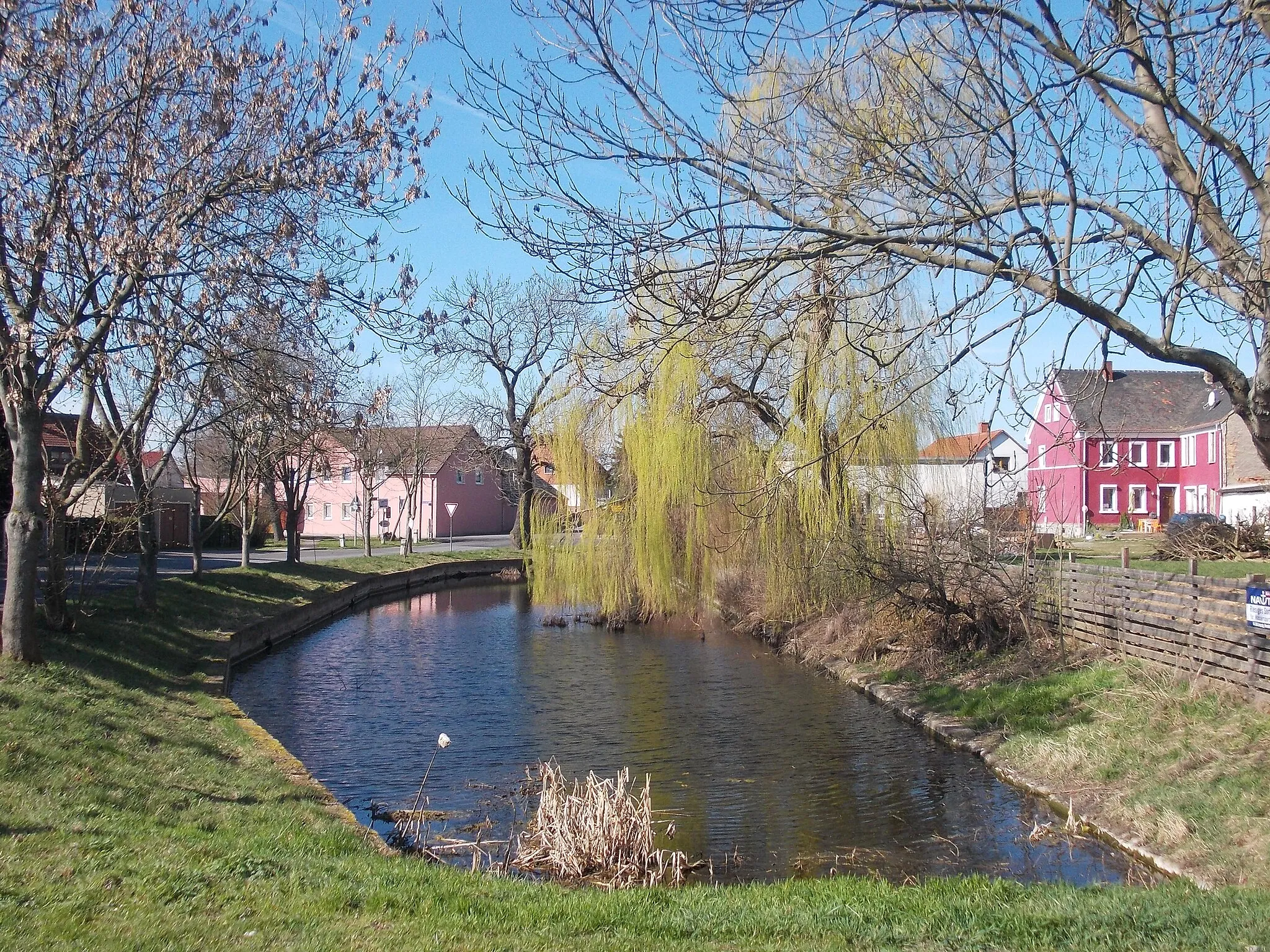 Photo showing: Pond at Töpferweg in Göbschelwitz (Leipzig, Saxony)