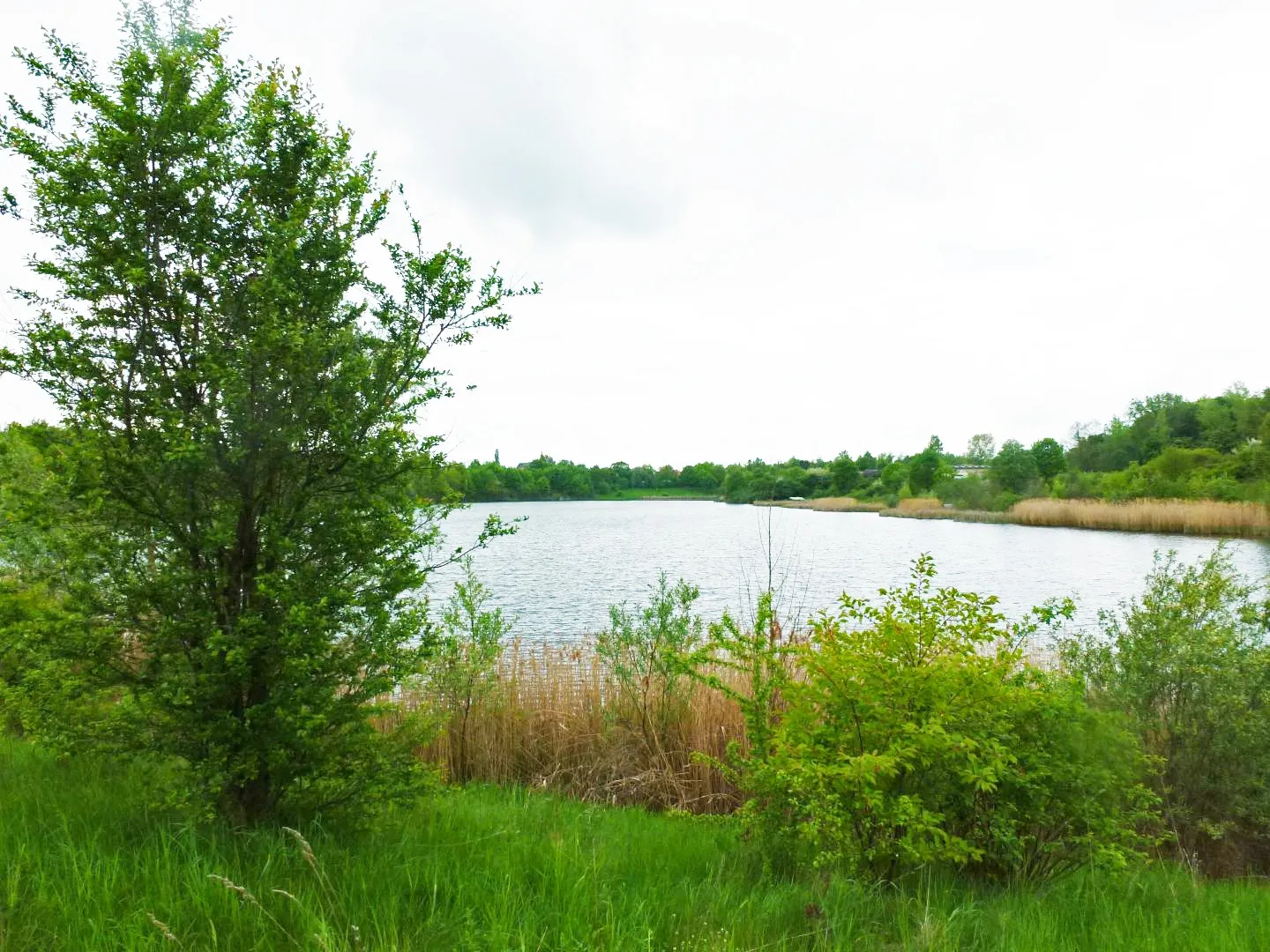 Photo showing: Naturbad Südwest in Windorf