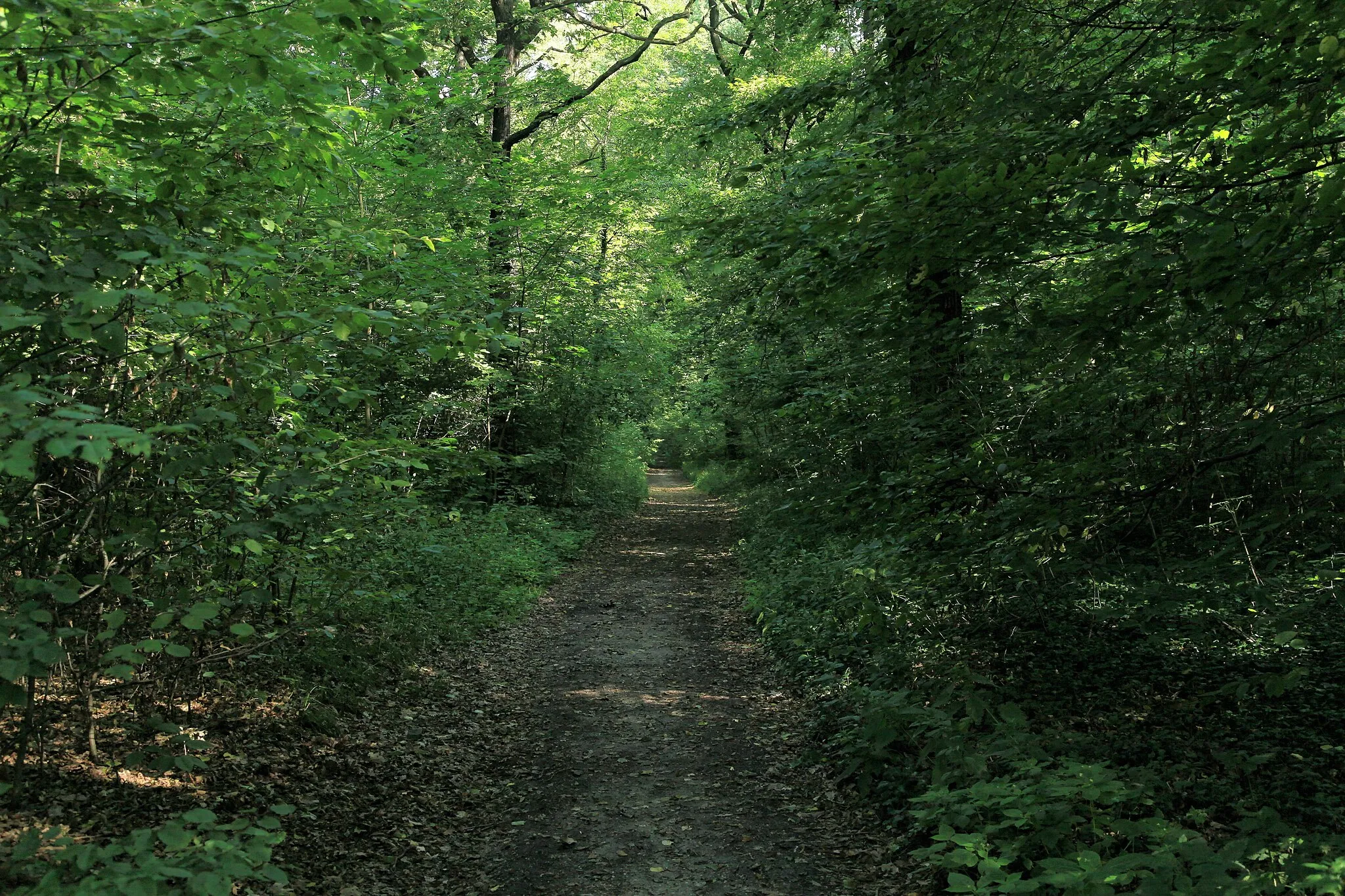 Photo showing: Bienitz, Zur Rodelbahn in Leipzig