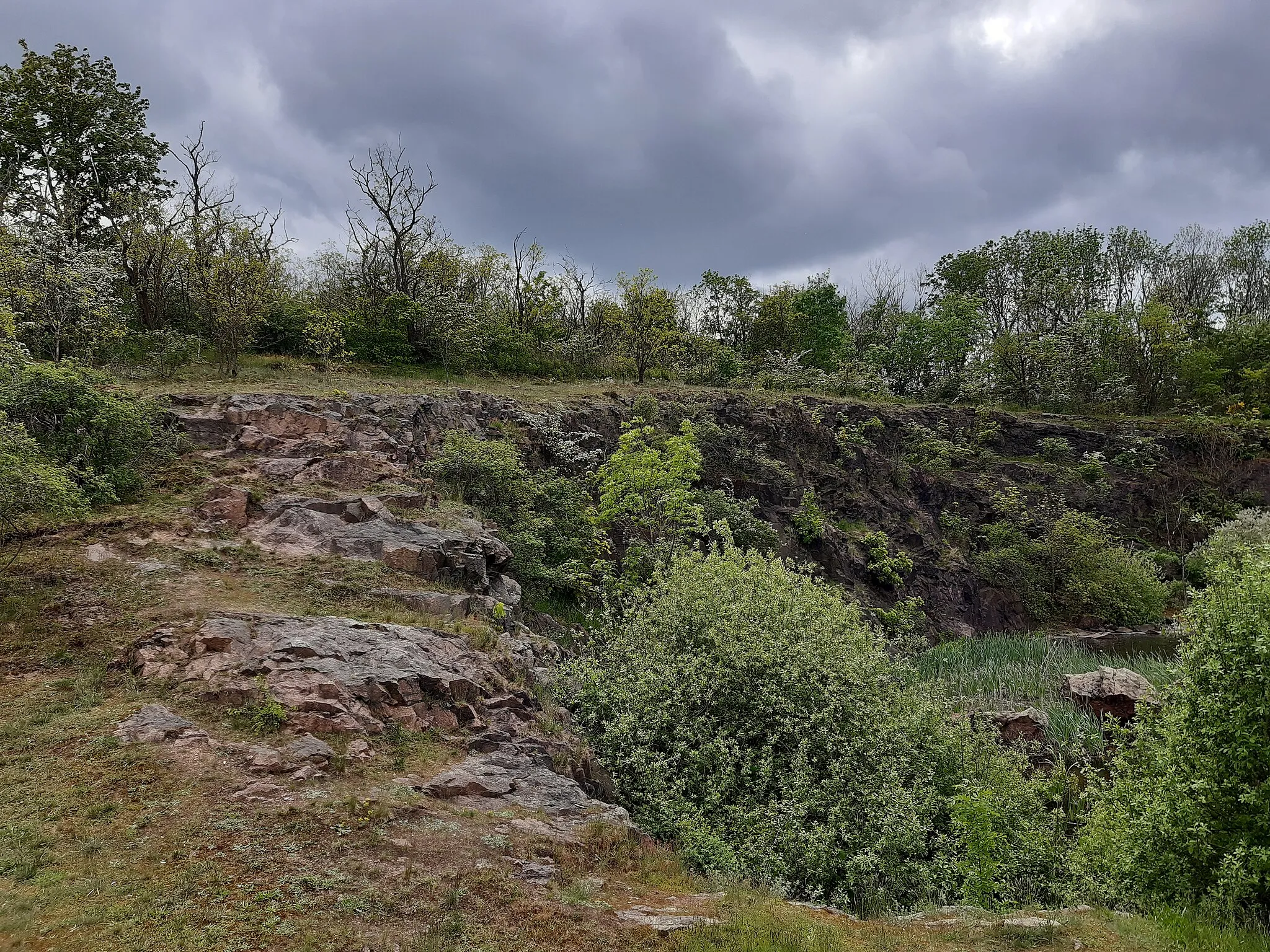 Photo showing: Landschaftsschutzgebiet Porphyrkuppenlandschaft bei Landsberg (LSG0069SK_), Saalekreis, am Spitzberg mit Teich an der Nordseite