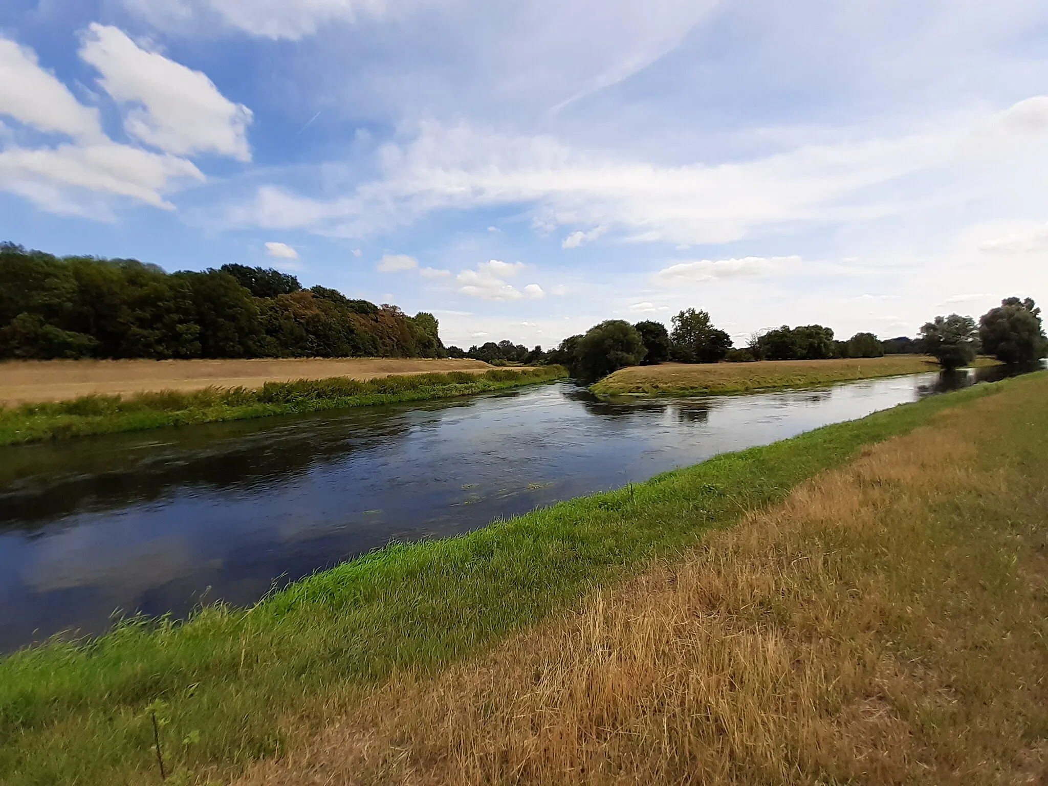 Photo showing: Die Mündung der Neuen Luppe (rechts) in die Weiße Elster bei Rübsen (Ermlitz, Sachsen-Anhalt), der Mündungsbereich befindet sich in Sachsen