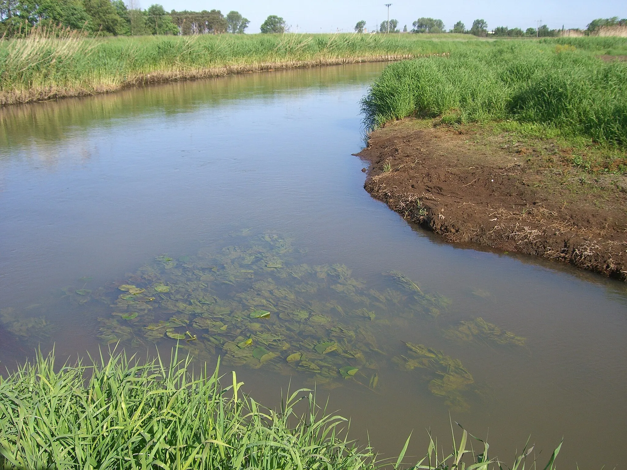 Photo showing: Einmündung der Kremitz in die Schwarze Elster