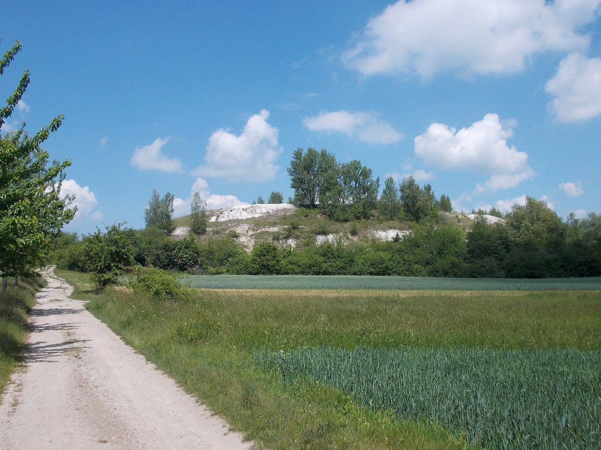 Photo showing: Hill near Bennstedt (Salzatal, district: Saalekreis, Saxony-Anhalt)