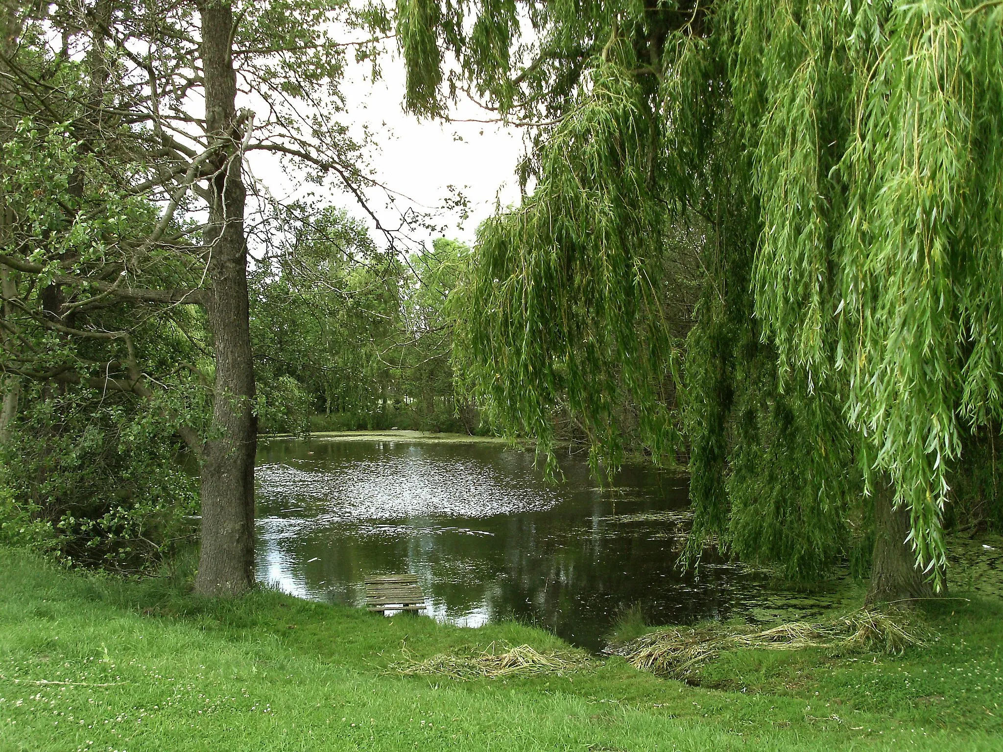 Photo showing: Pond in Siedersdorf (Landsberg, district of Saalekreis, Saxony-Anhalt)