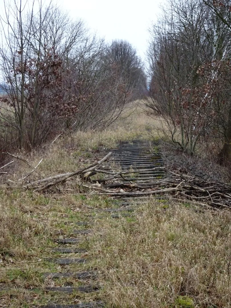 Photo showing: Ehem. Bahnlinie Merseburg–Leipzig-Leutzsch bei Burghausen