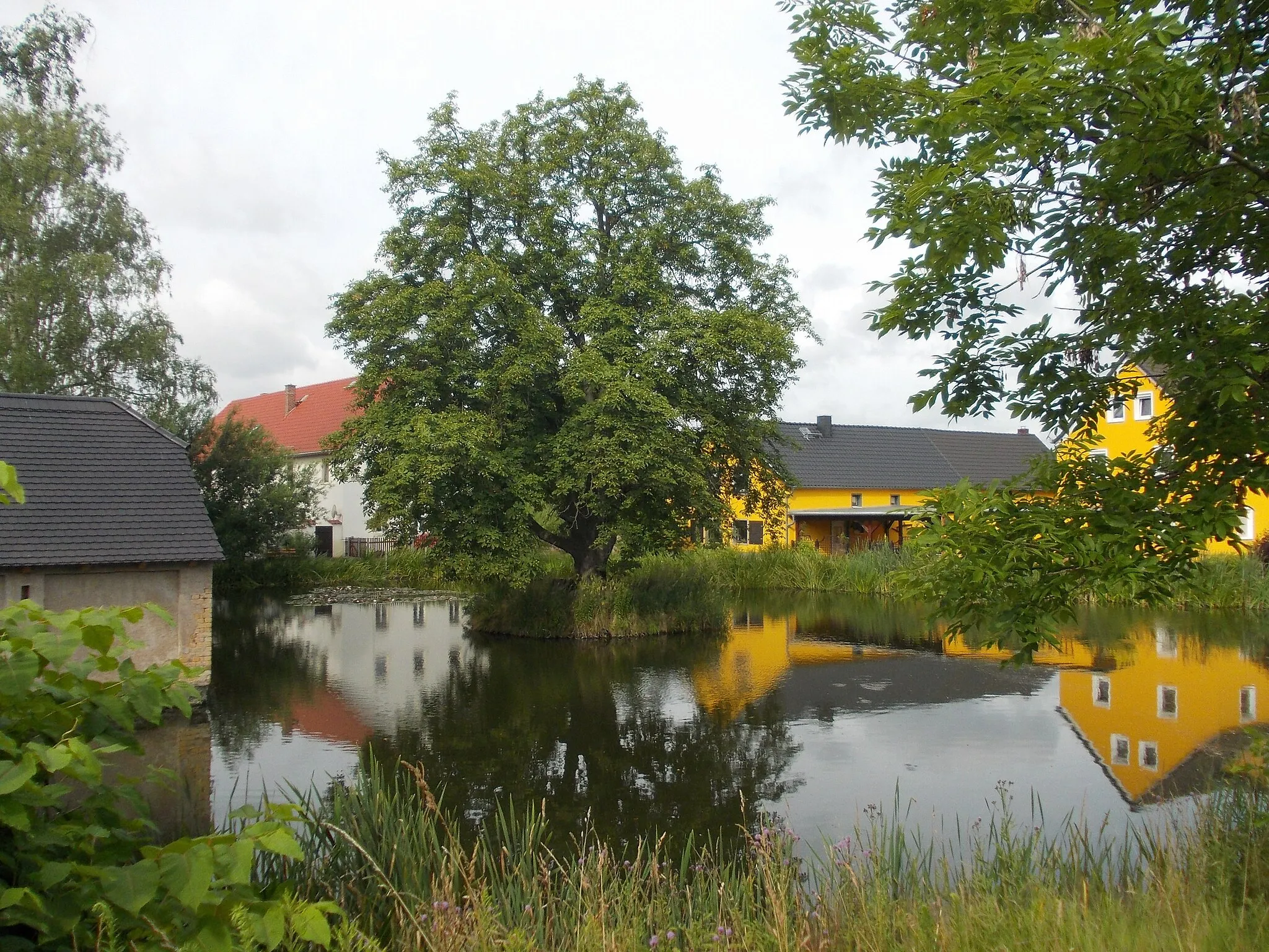 Photo showing: Inselteich pond in Staudtnitz (Klinga, Parthenstein, Leipzig district, Saxony)