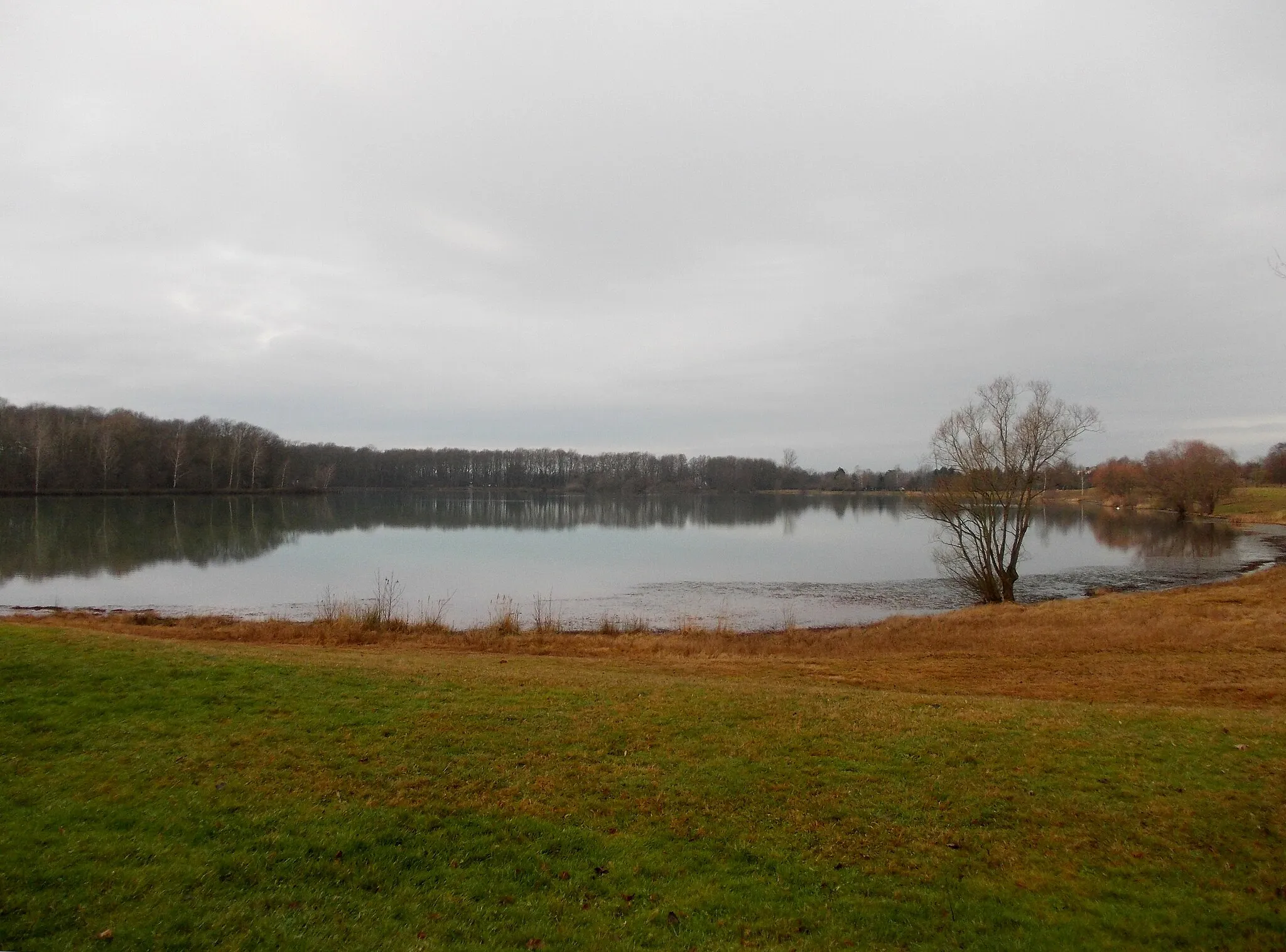 Photo showing: Albrechtshain Lake (Leipzig district, Saxony)