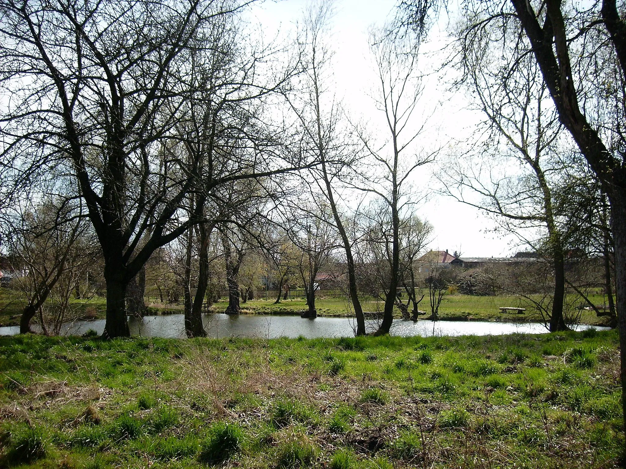 Photo showing: Pond to the north of Kaja (Lützen, district of Burgenlandkreis, Saxony-Anhalt)