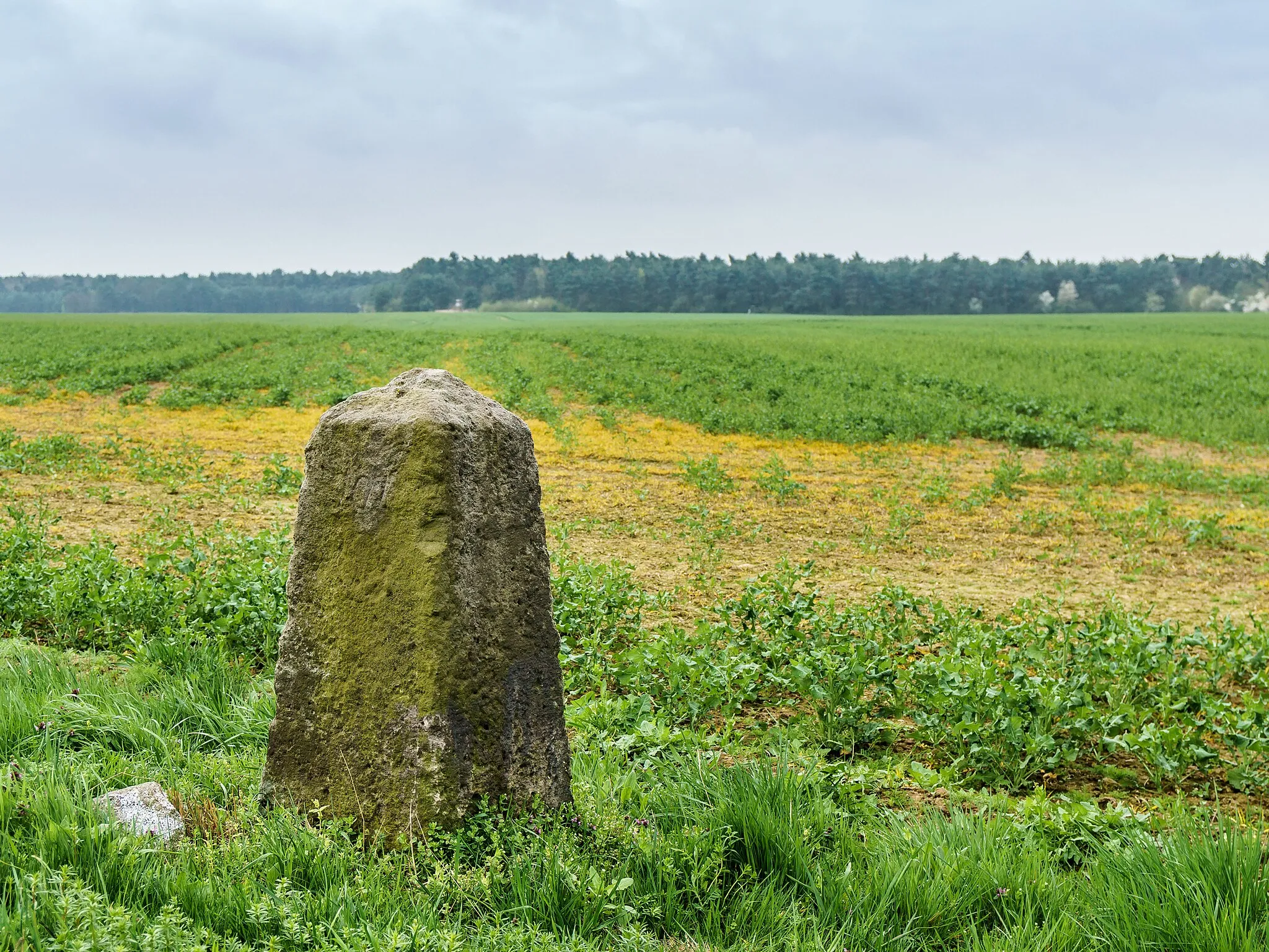 Photo showing: This media shows the protected monument of Saxony with the ID 09305494 KDSa/09305494(other).