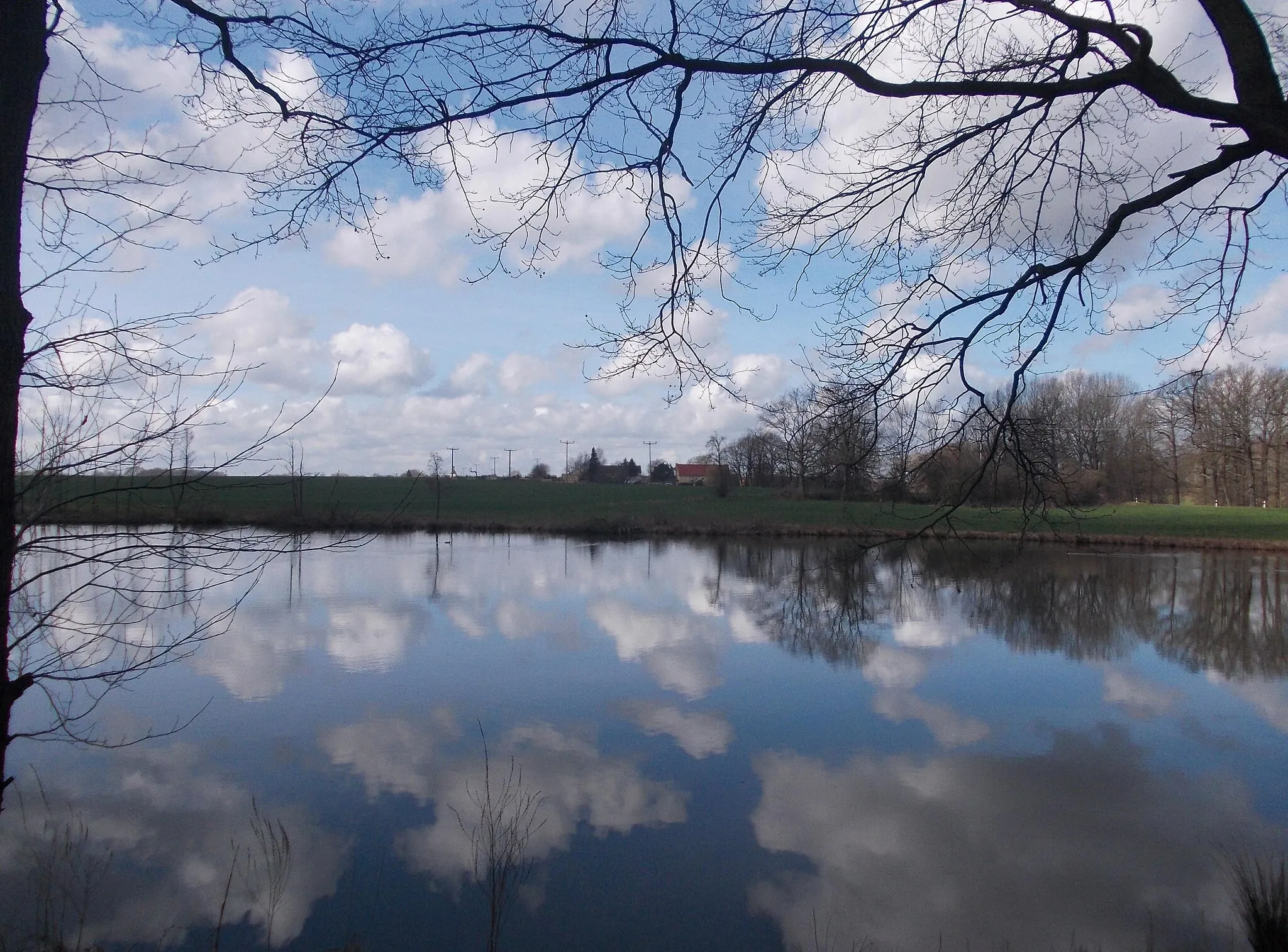 Photo showing: Stabsteich pond near Seelingstädt (Trebsen, Leipzig district, Saxony)