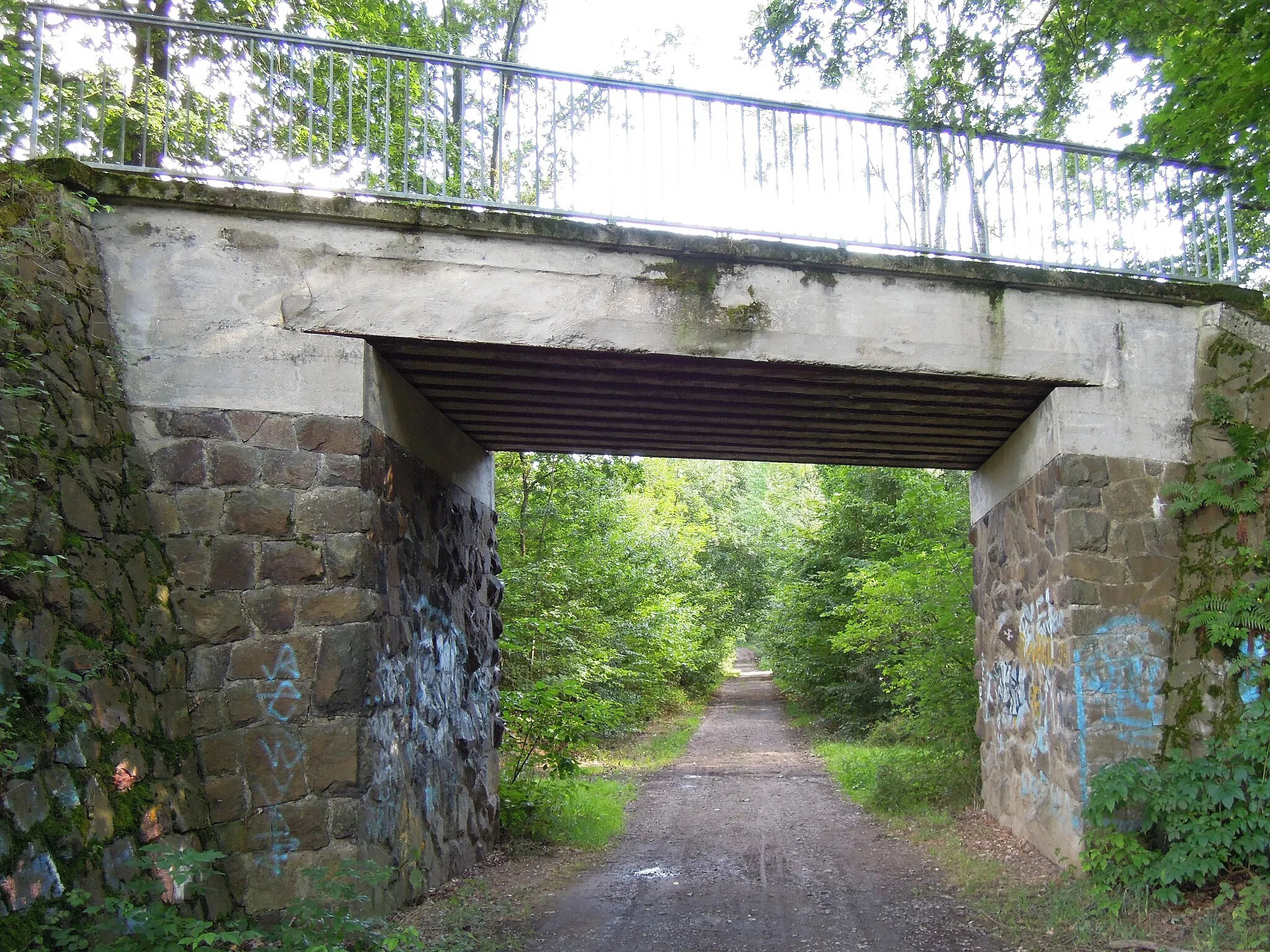 Photo showing: Geh- und Radwegbrücke über den Ballendorfer Weg südlich Etzoldshain -Nordansicht- August 2023.jpg