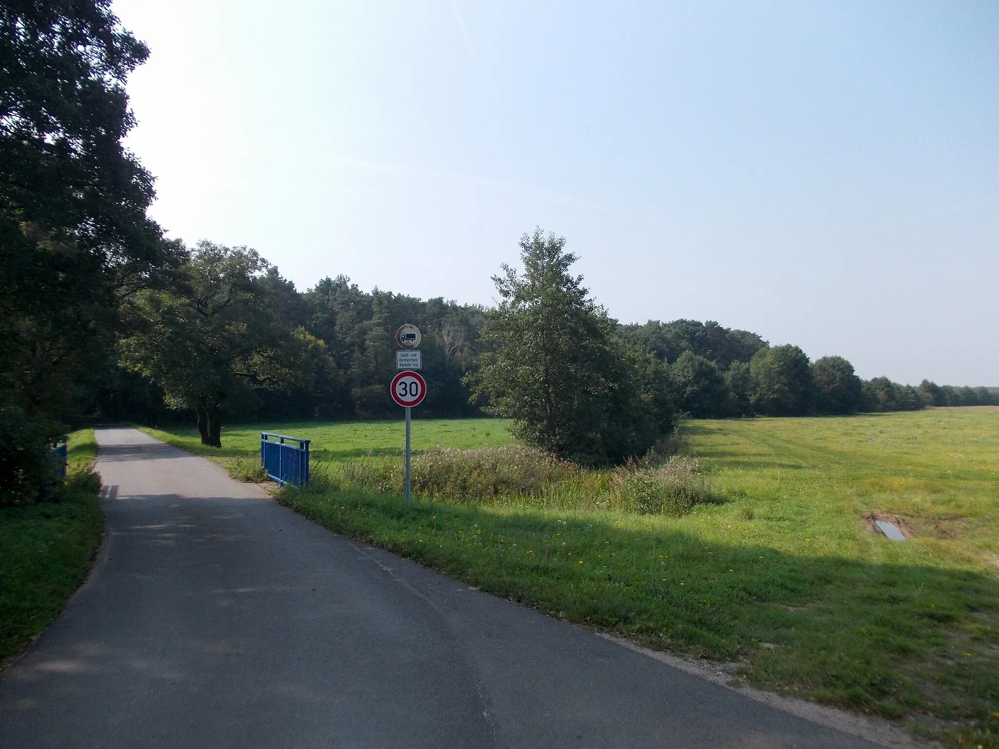 Photo showing: Edge of the forest at Torls Bridge near Grosswig (Dreiheide, Nordsachsen district, Saxony)