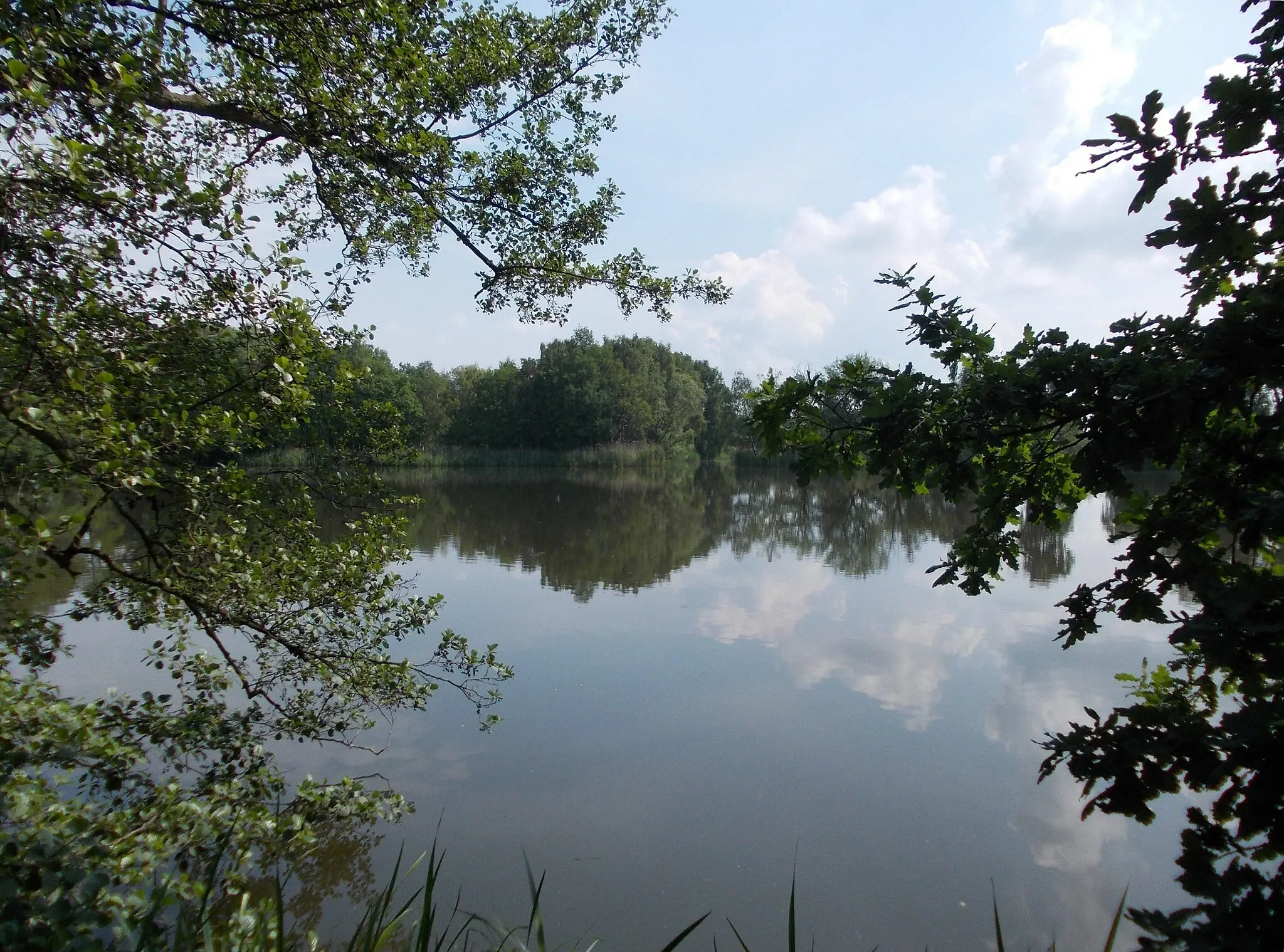 Photo showing: Haferteich pond in Klitzschen (Mockrehna, Nordsachsen district, Saxony)