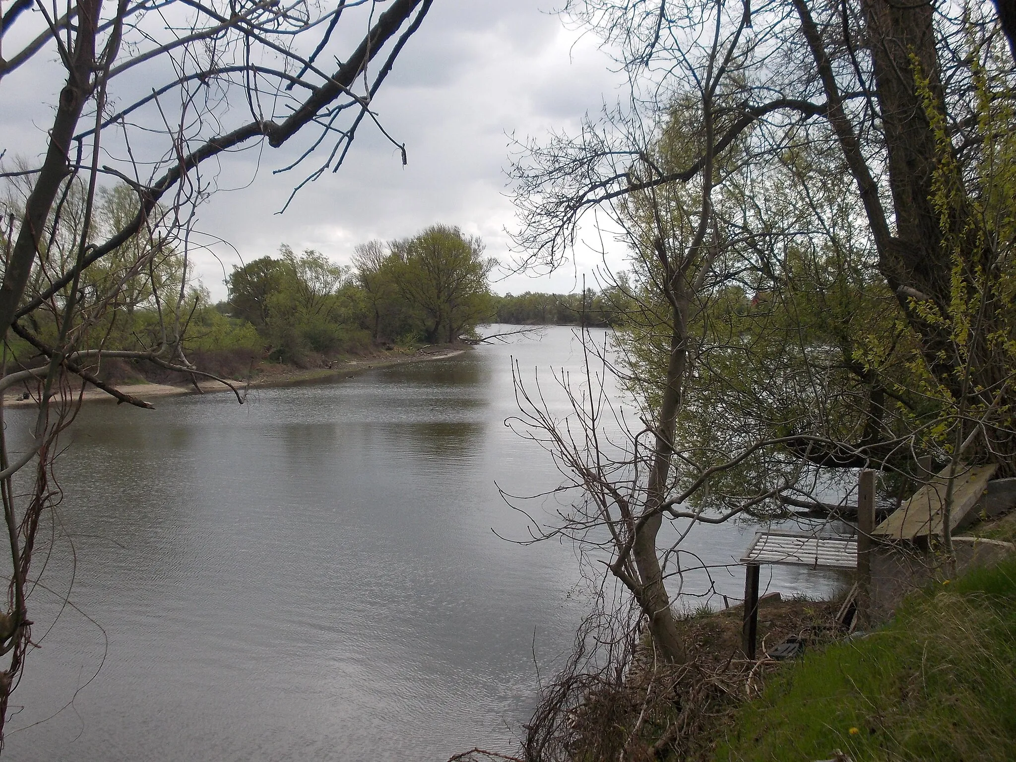 Photo showing: Alte Elbe, a dead arm of the Elbe river near Döbern (Elsnig, Nordsachsen district, Saxony)