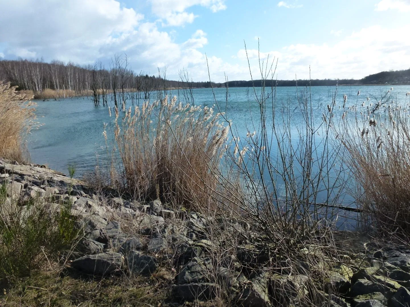 Photo showing: Holzweißiger Ostsee