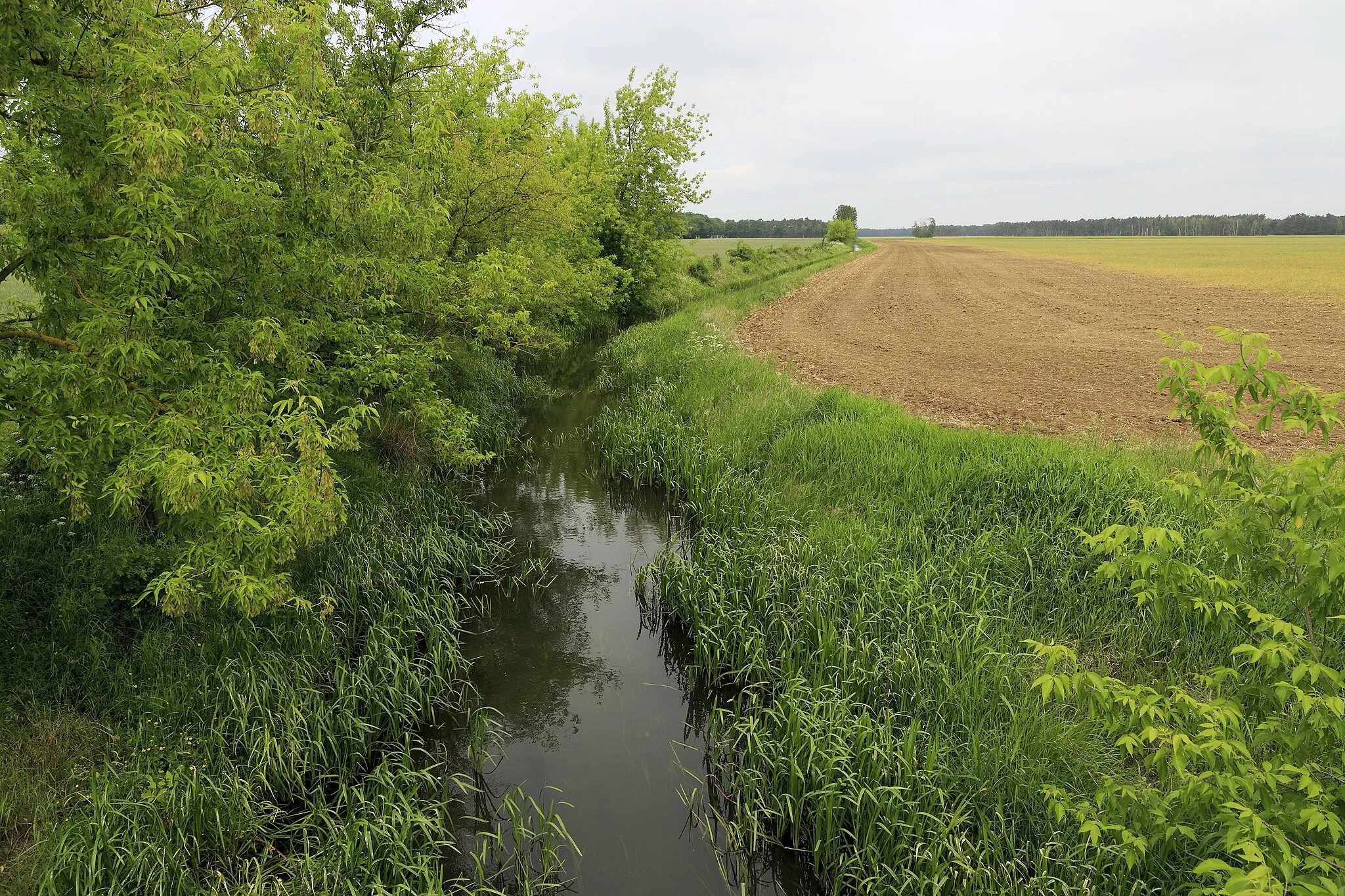 Photo showing: Von der Brücke der strategischen Verbindungsbahn 6848 zwischen den Strecken 6133 Jüterbog–Röderau und 6826 Falkenberg–Beeskow Richtung Norden. Die Lapine ist ein kleiner Fluss im Raum Falkenberg und Herzberg.