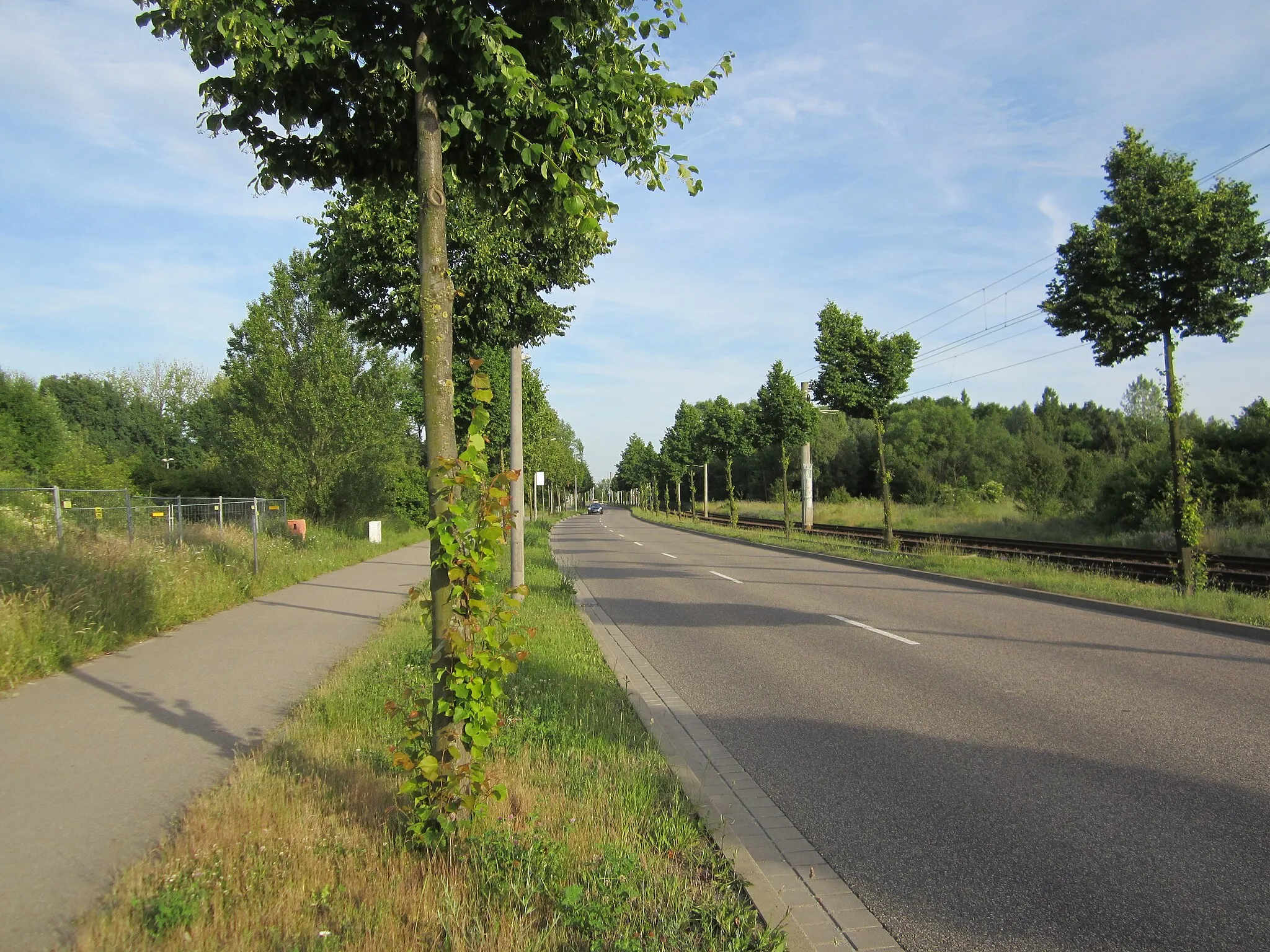 Photo showing: Portitzer Allee in Leipzig Heiterblick, nahe dem Lösegraben