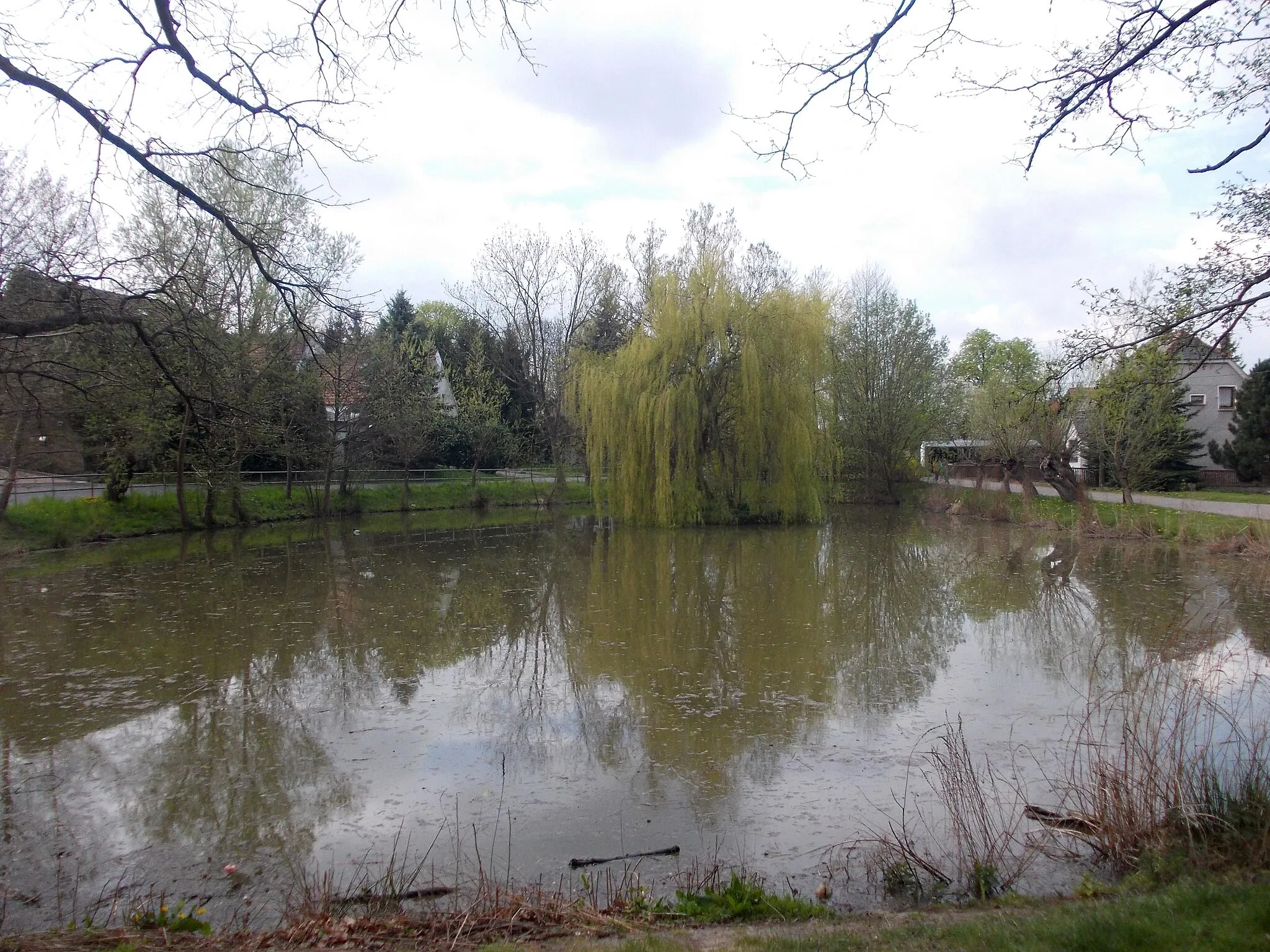 Photo showing: Pond in Limbach (Oschatz, Nordsachsen district, Saxony)