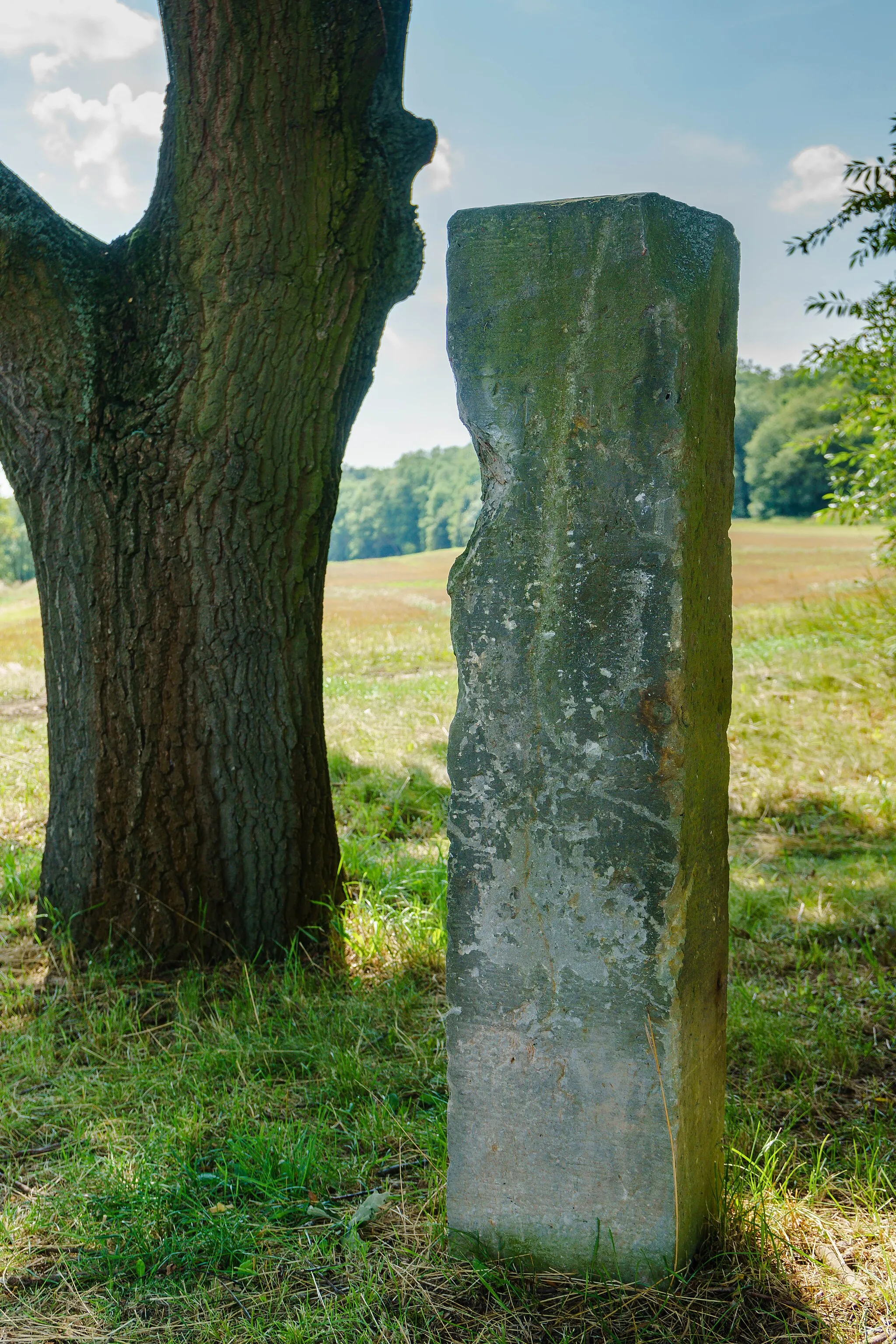 Photo showing: This media shows the protected monument of Saxony with the ID 09286625 KDSa/09286625(other).