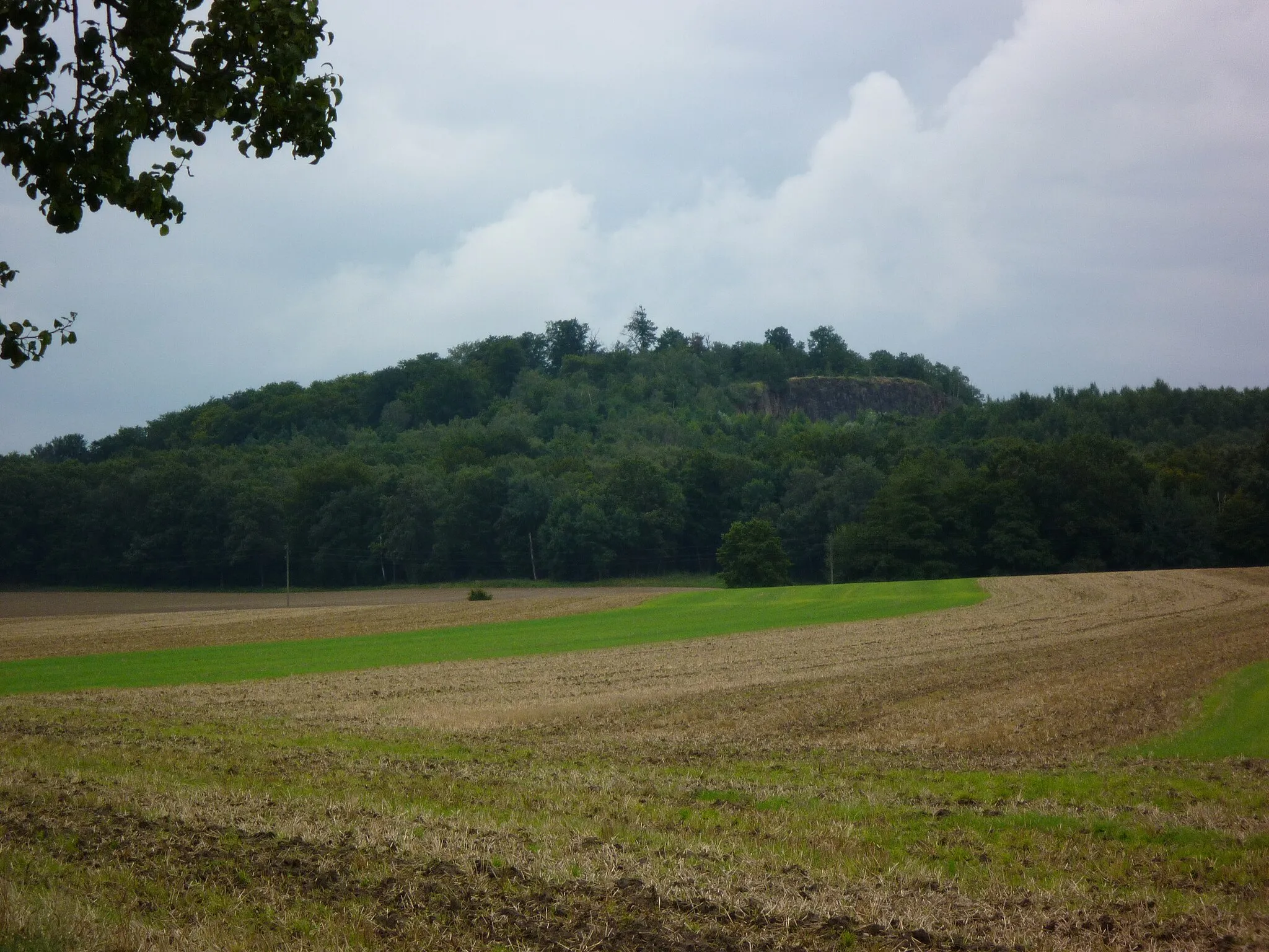 Photo showing: Ansicht des gaudlitzberges bei Wurzen