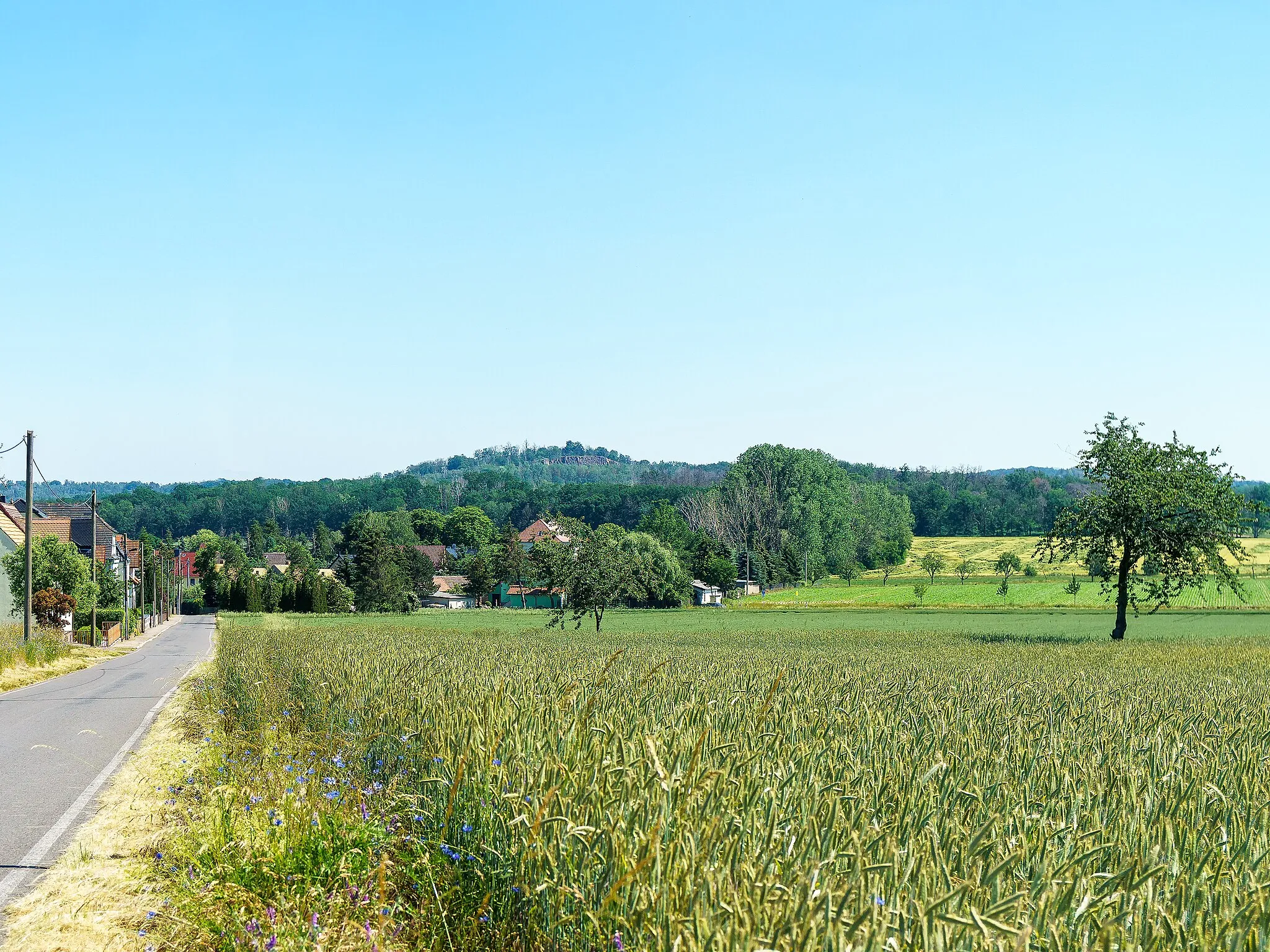 Photo showing: Blick zum Fauna-Flora-Habitat-Gebiet Gaudlitzberg in Thallwitz OT Röcknitz