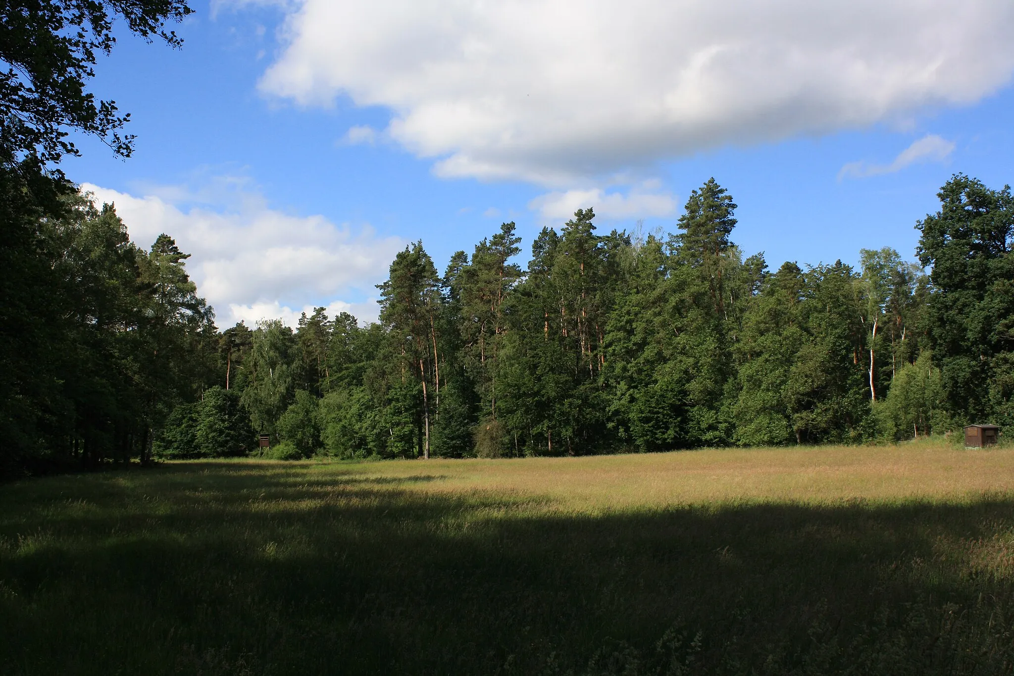 Photo showing: Deubitzwiese, Standort der Wüstung Deubitz