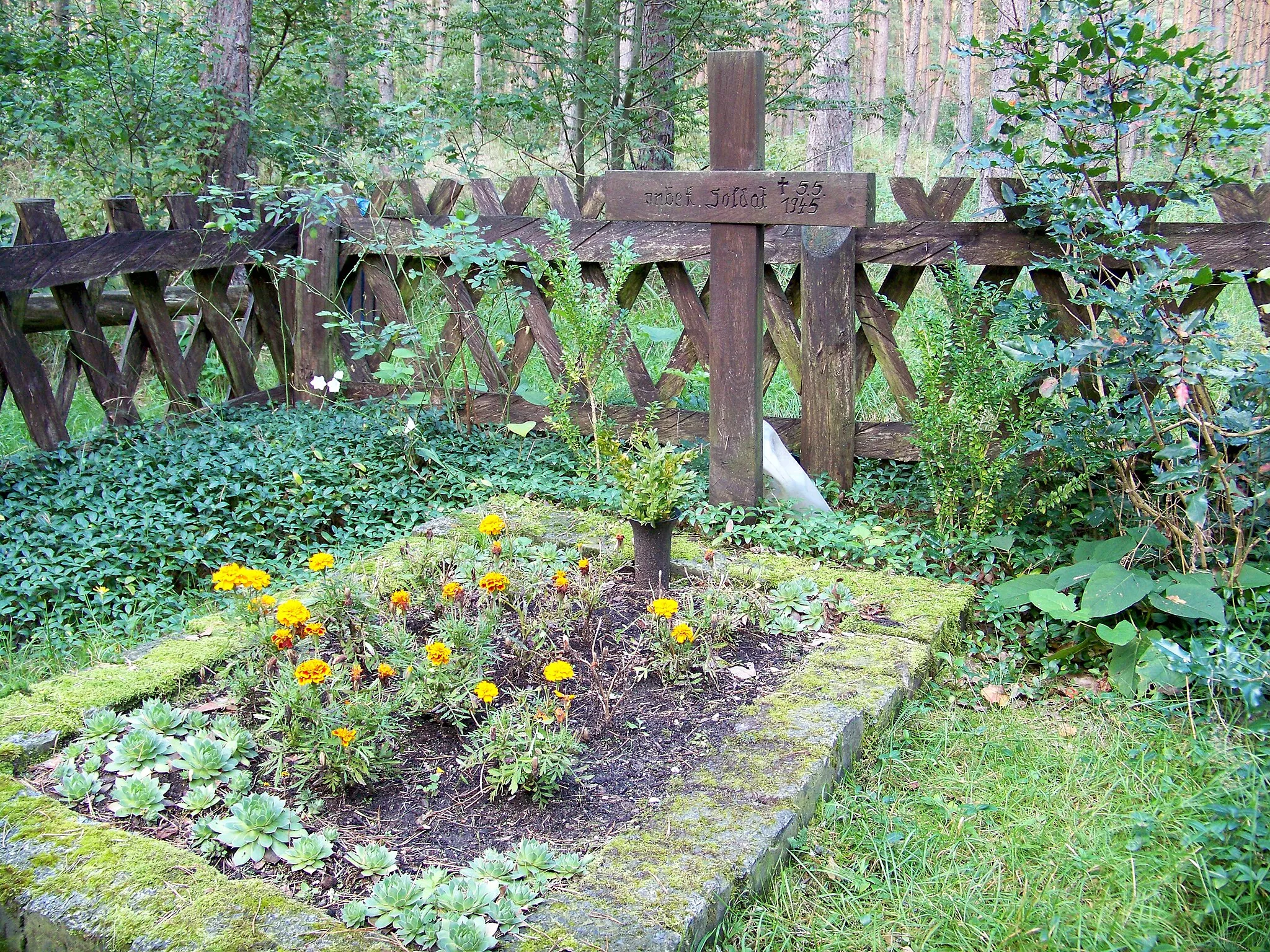 Photo showing: Grab eines unbekannten Soldaten in der Dübener Heide bei Battaune (Gemeinde Doberschütz; siehe angegebene Koordinaten)