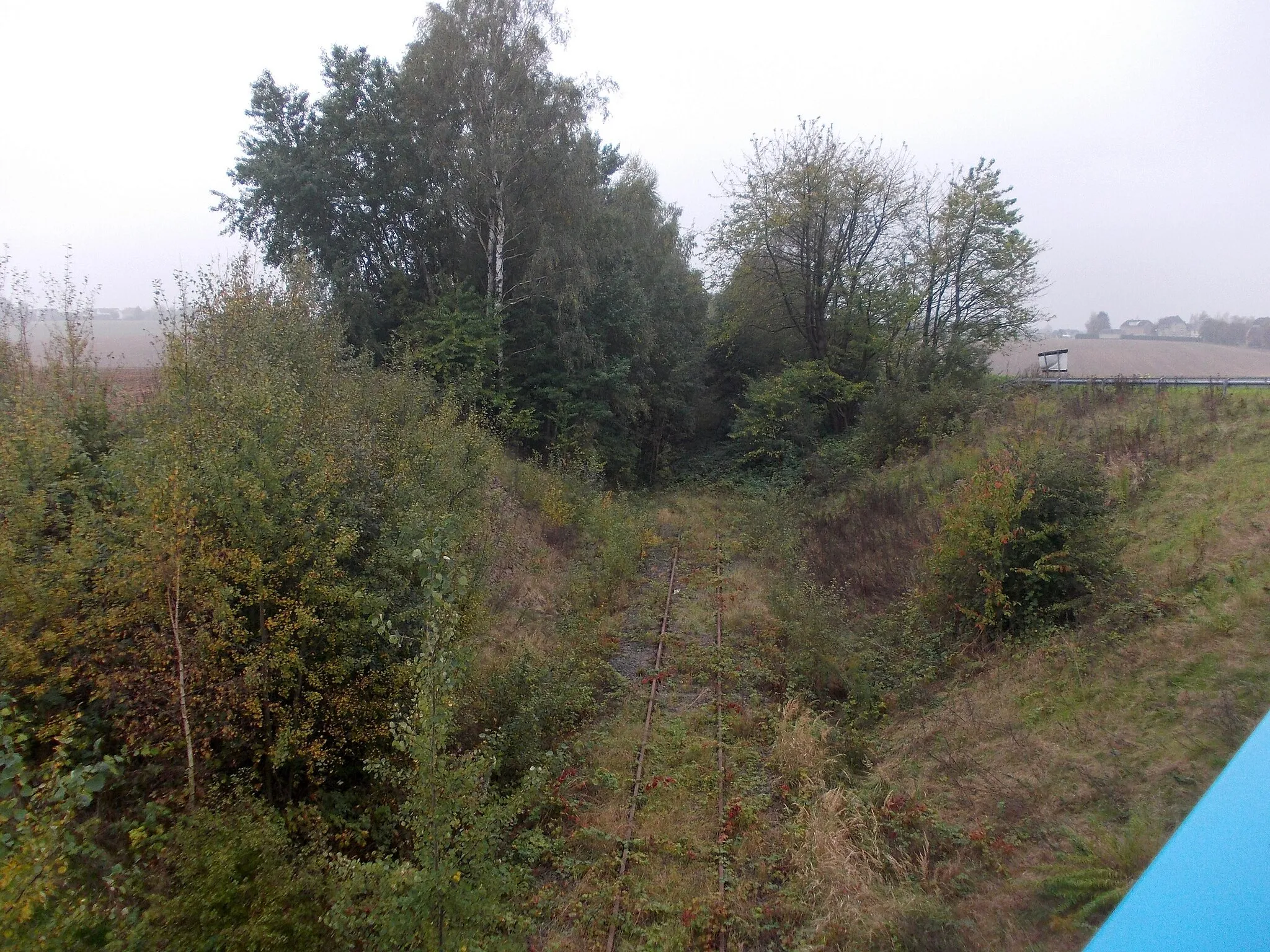 Photo showing: Former Rochlitz-Narsdorf railway line near Carsdorf (Wechselburg, Mittelsachsen district, Saxony)