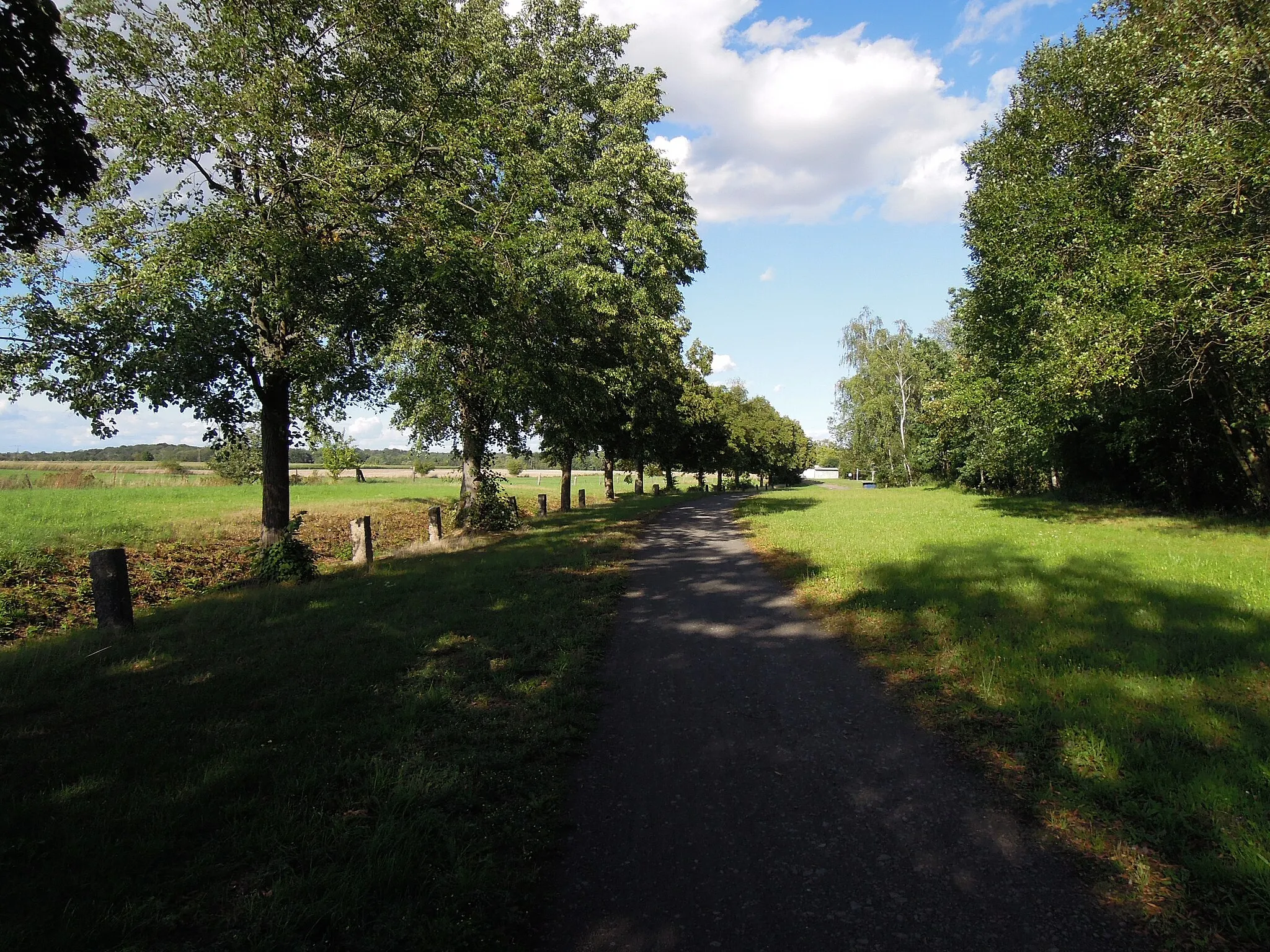 Photo showing: Bahnhof Glasten an der ehemaligen Bahnstrecke Borna-Großbothen -Westansicht fern- August 2023