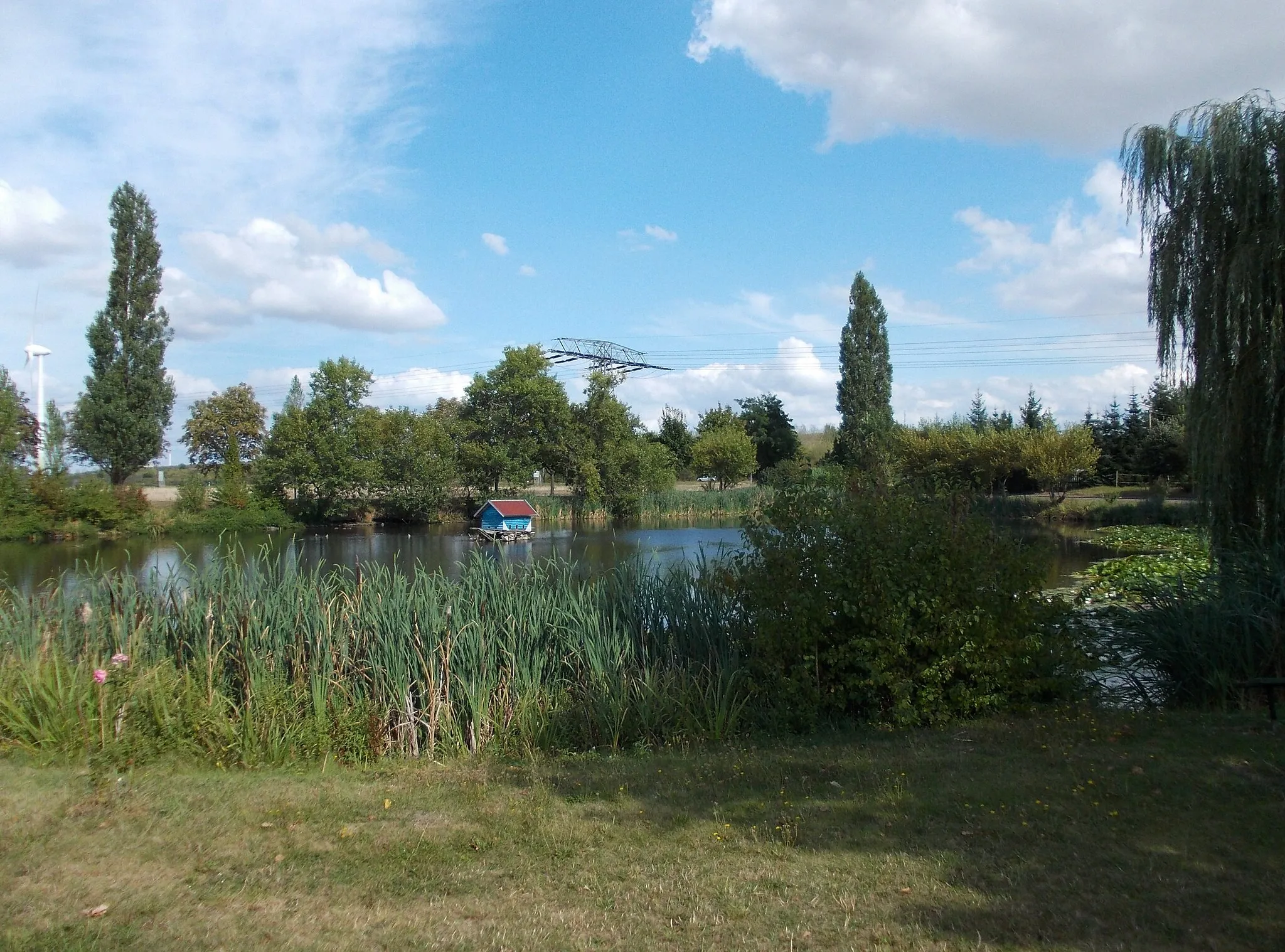 Photo showing: Pond in Lissa (Neukyhna, Nordsachsen district, Saxony)