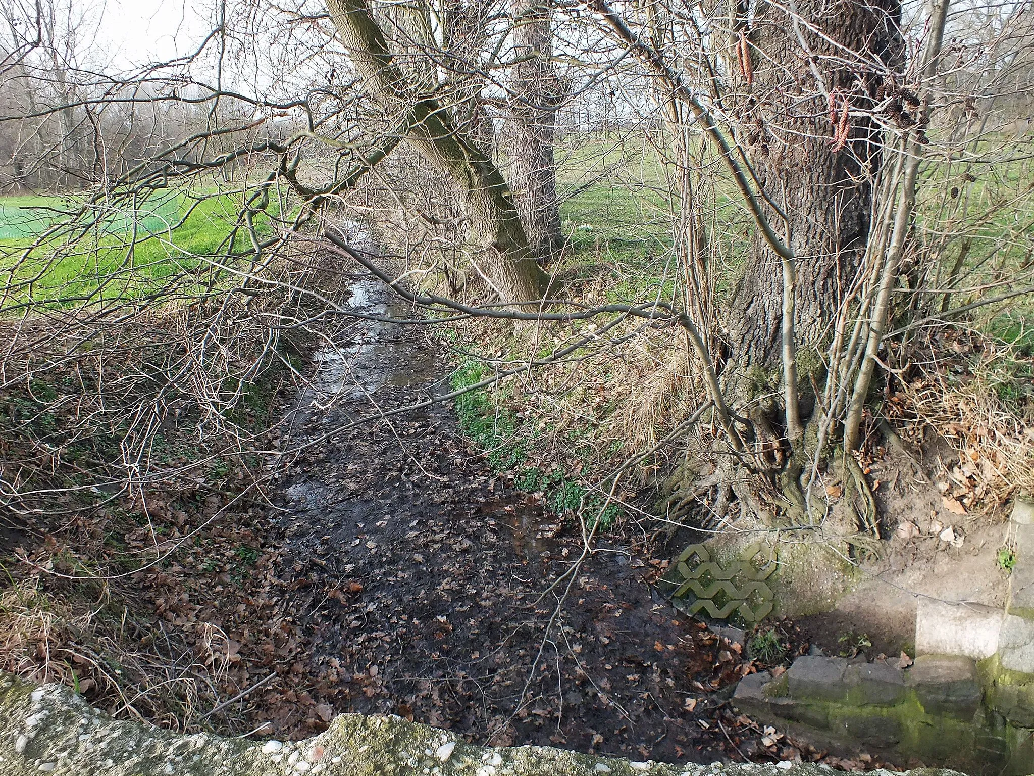 Photo showing: Der Hasengraben bei Merkwitz